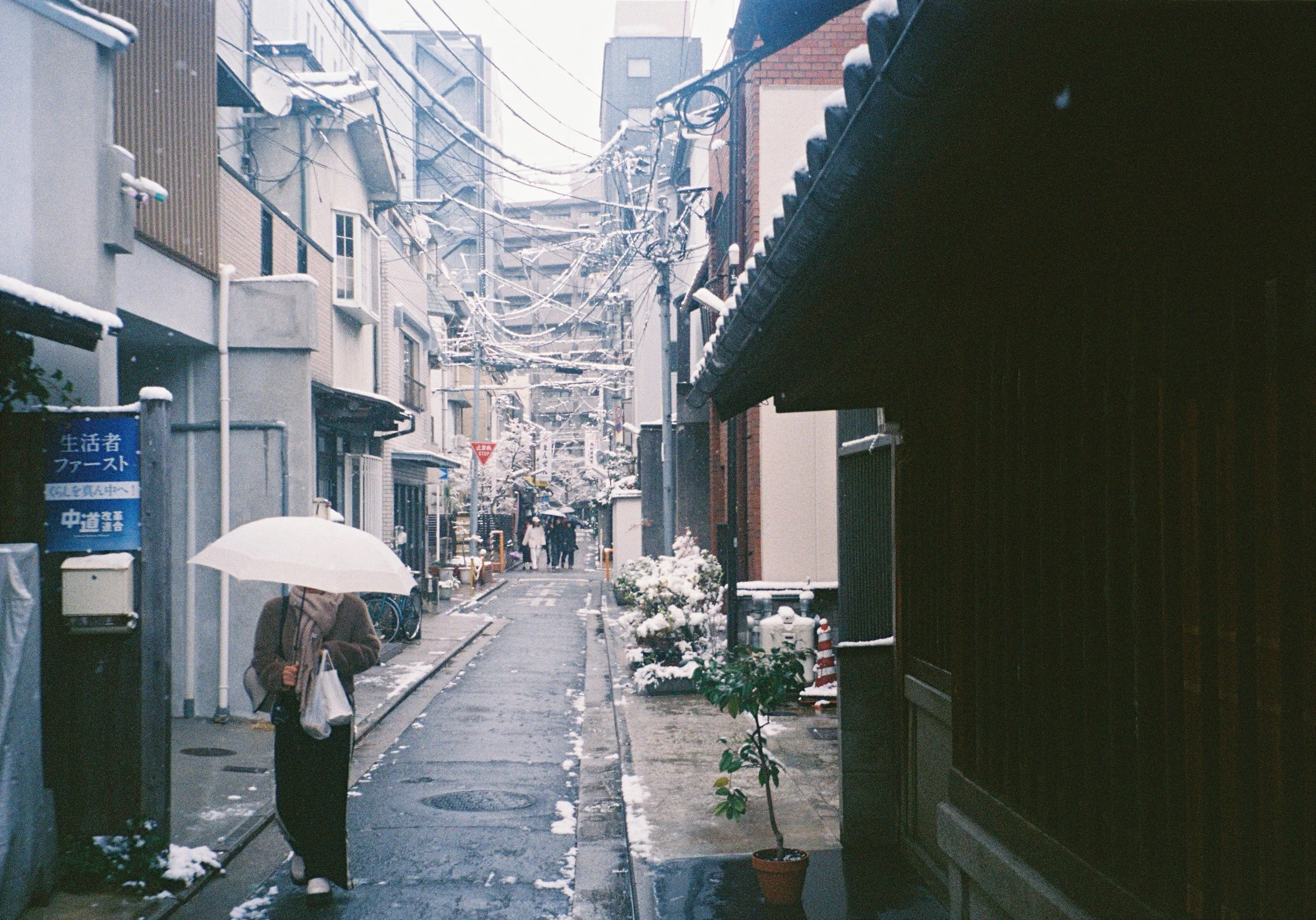 yulimaru-japan-2026-FILM_8594.JPG