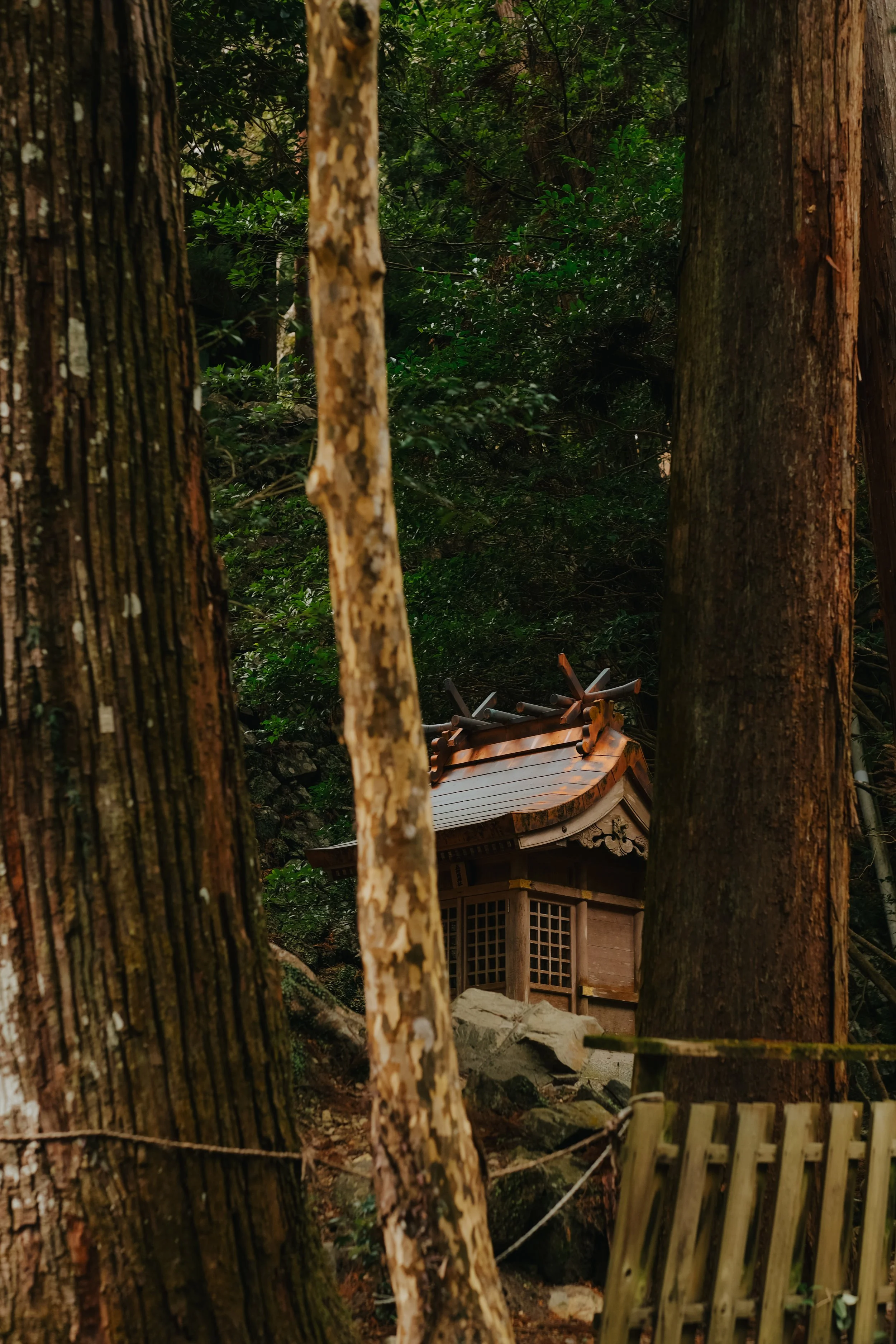 yulimaru-japan-2026-92.JPG
