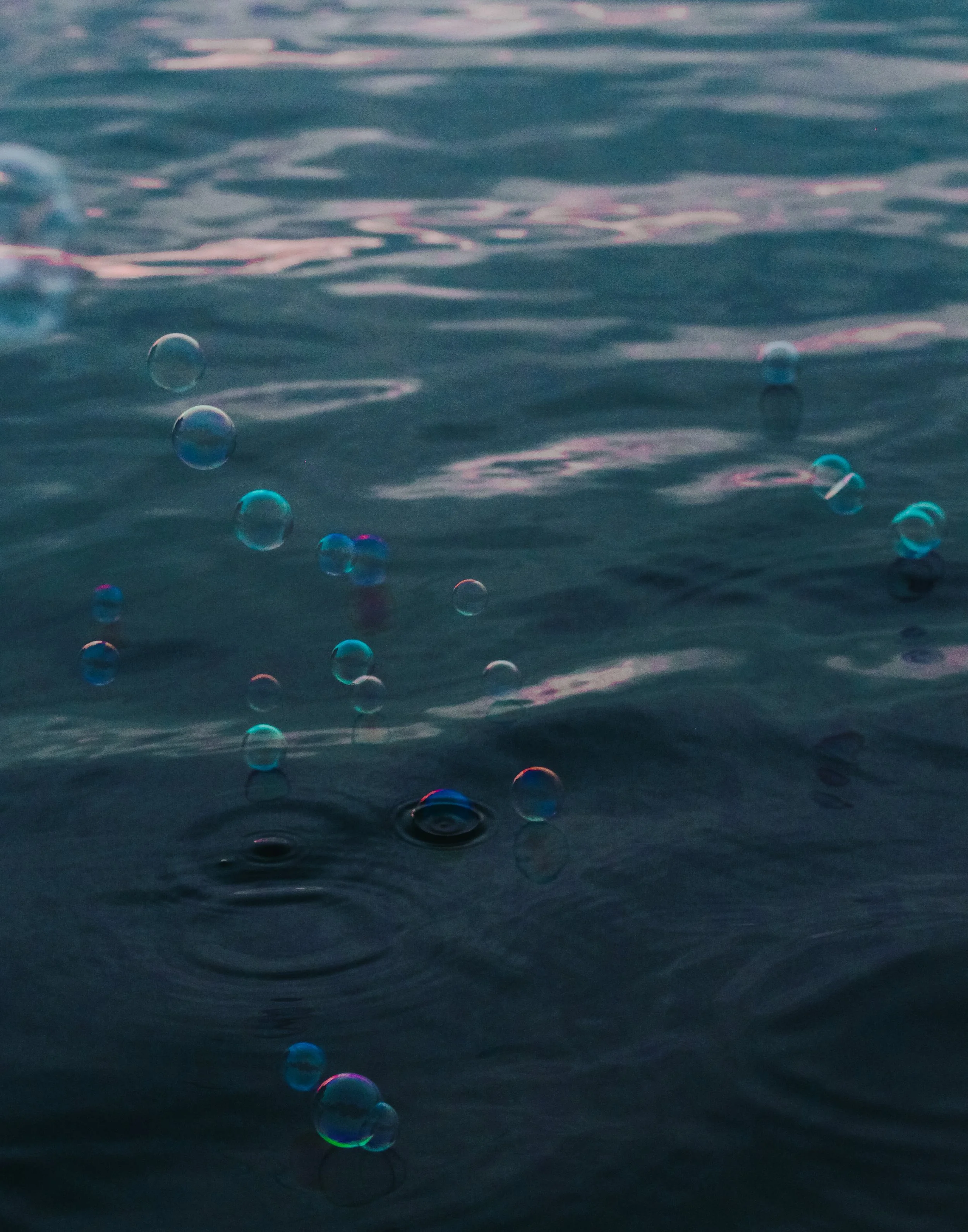 yulischeidt-bubblesonlake-2-11x14.jpg