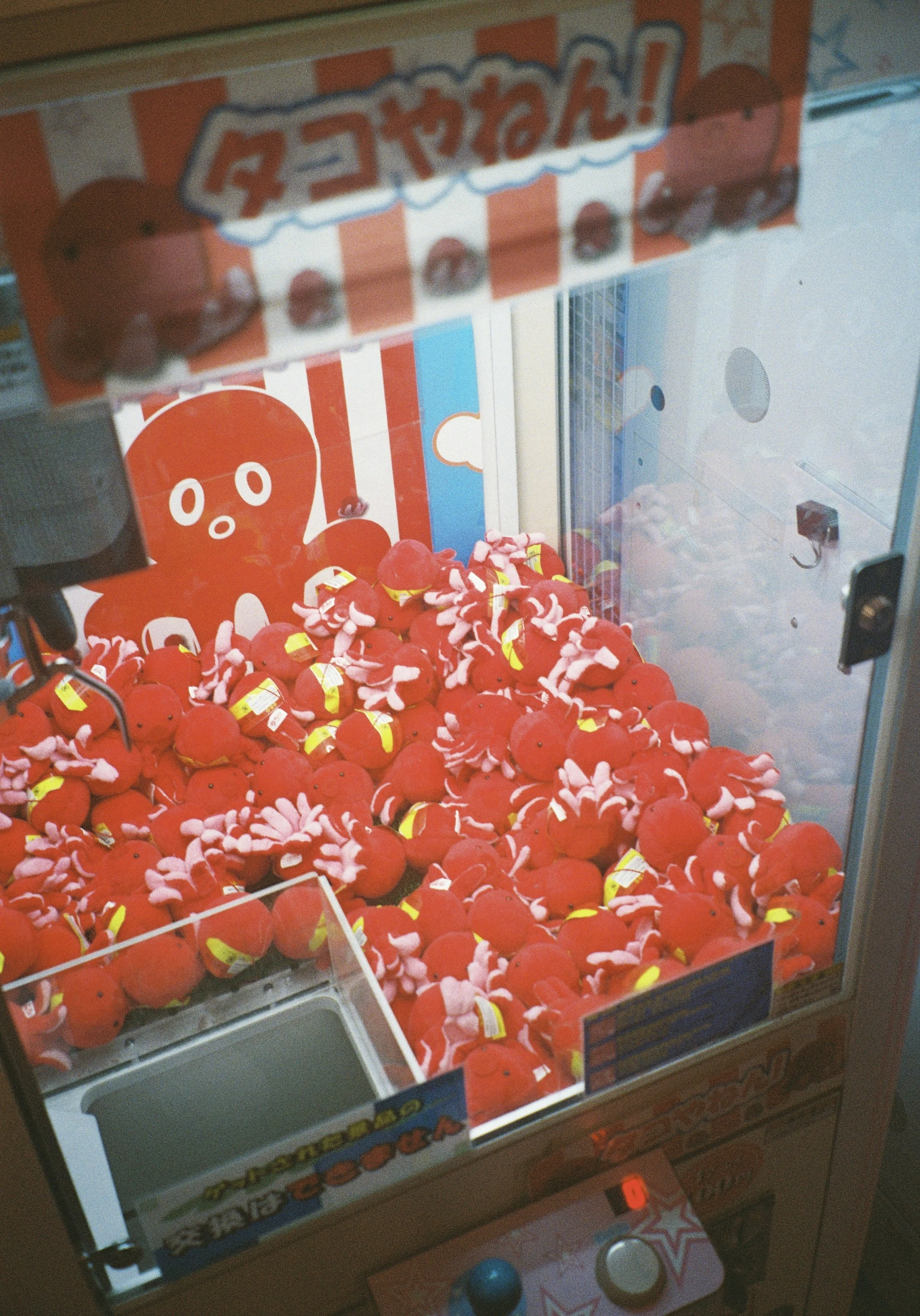 yulimaru-japan-2026-FILM_7998.JPG