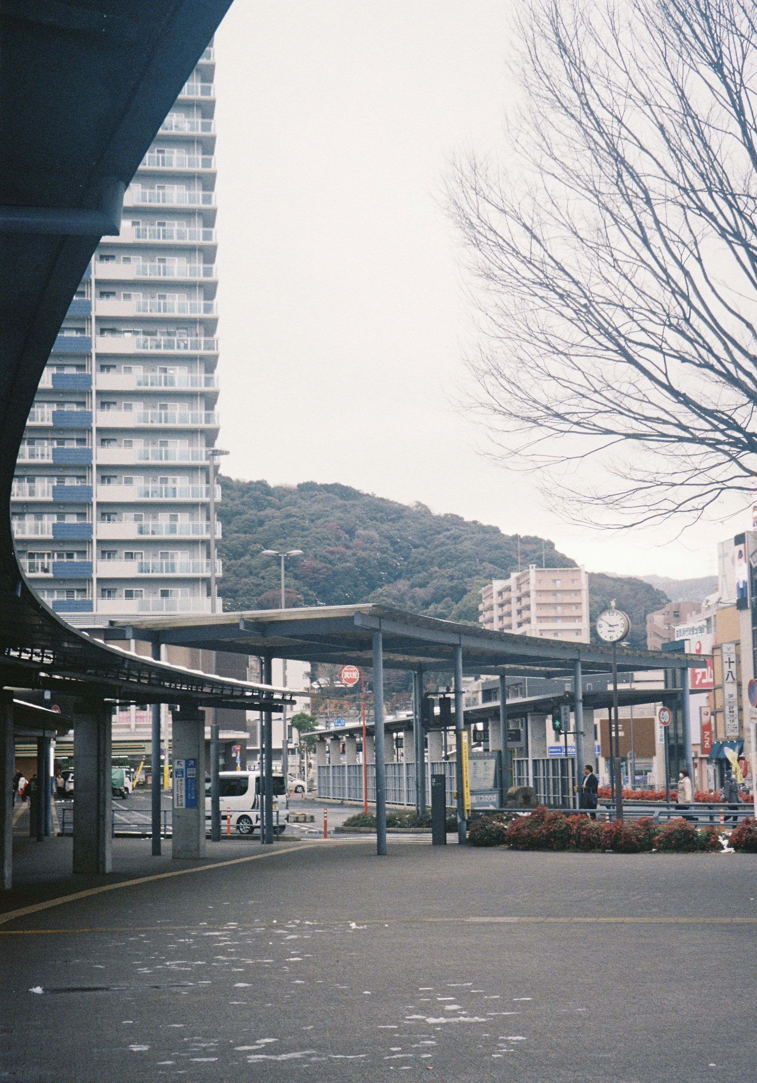 yulimaru-japan-2026-FILM_8550.JPG