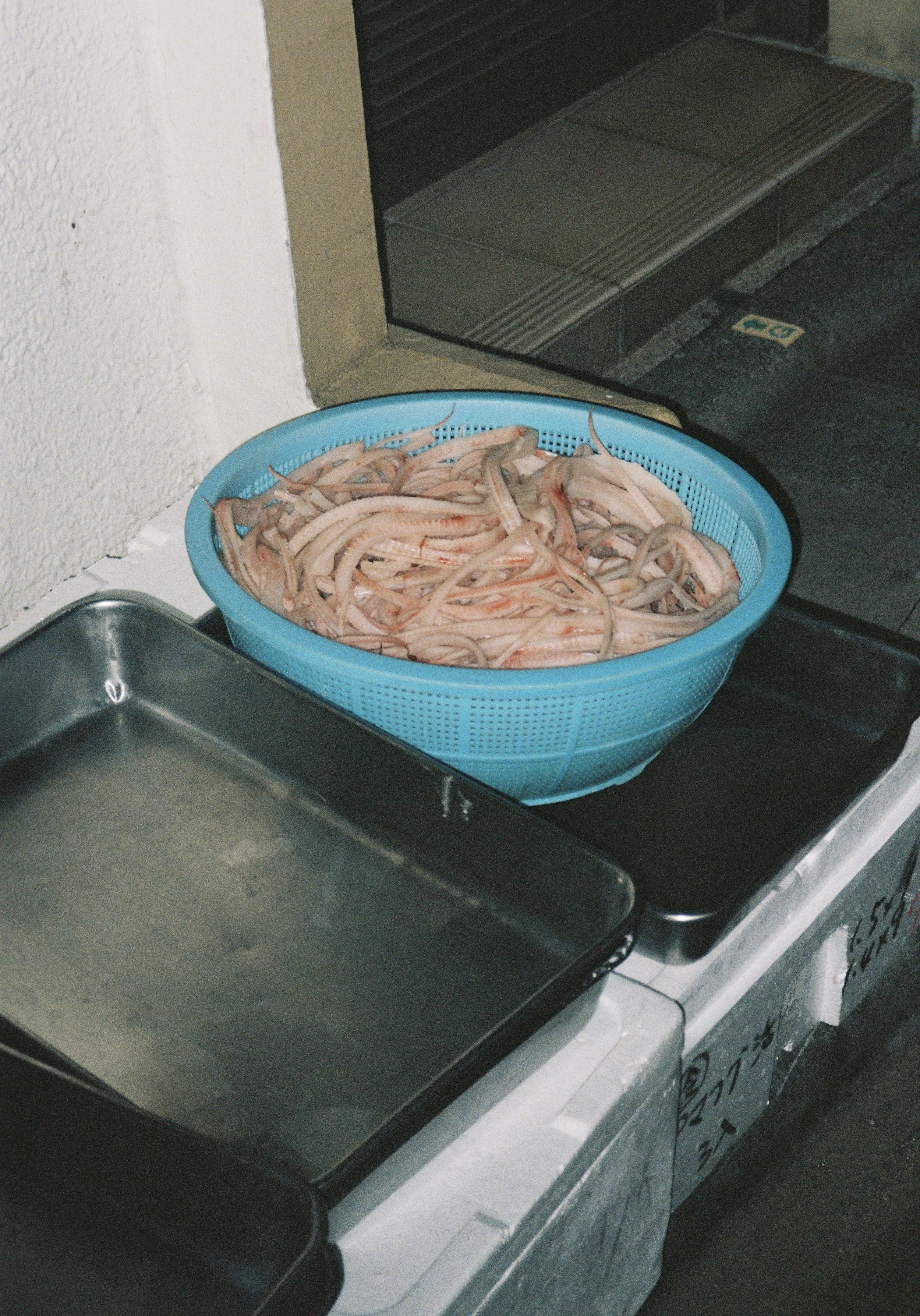 yulimaru-japan-2026-FILM_7281.JPG