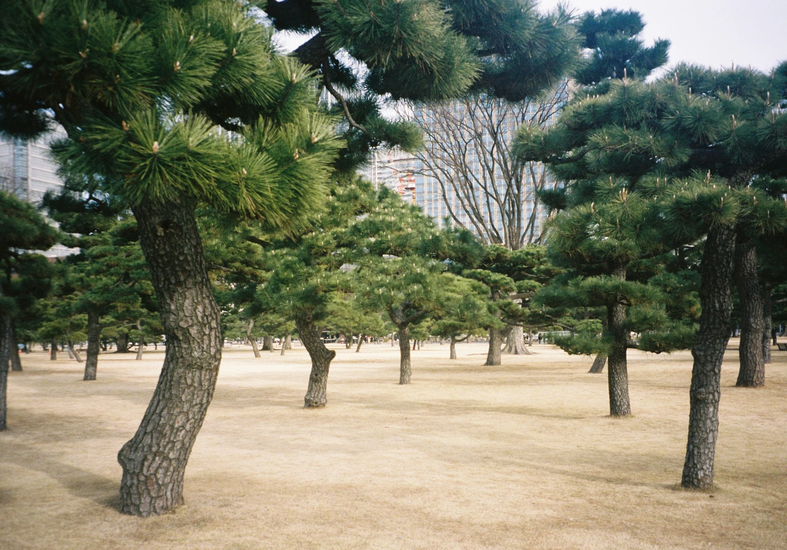 yulimaru-japan-2026-FILM_7300.JPG