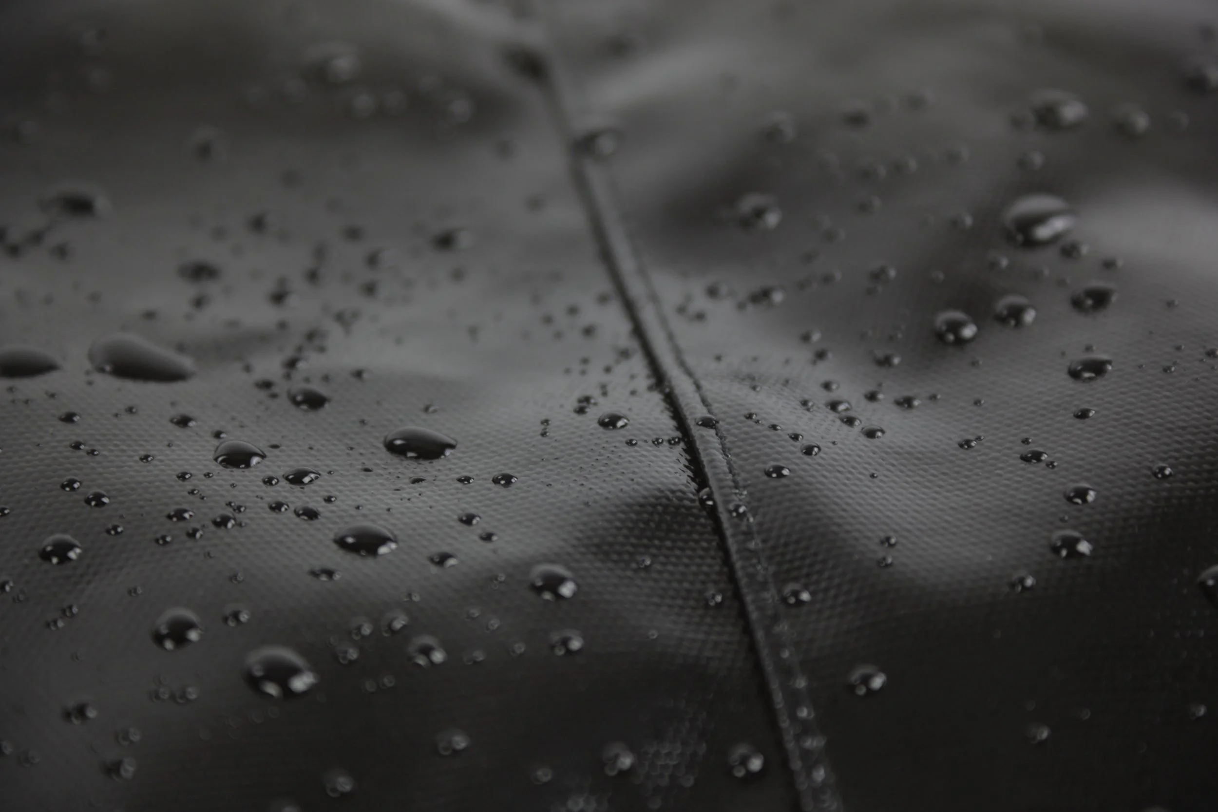 Dahlia Tote Water Drops.JPG