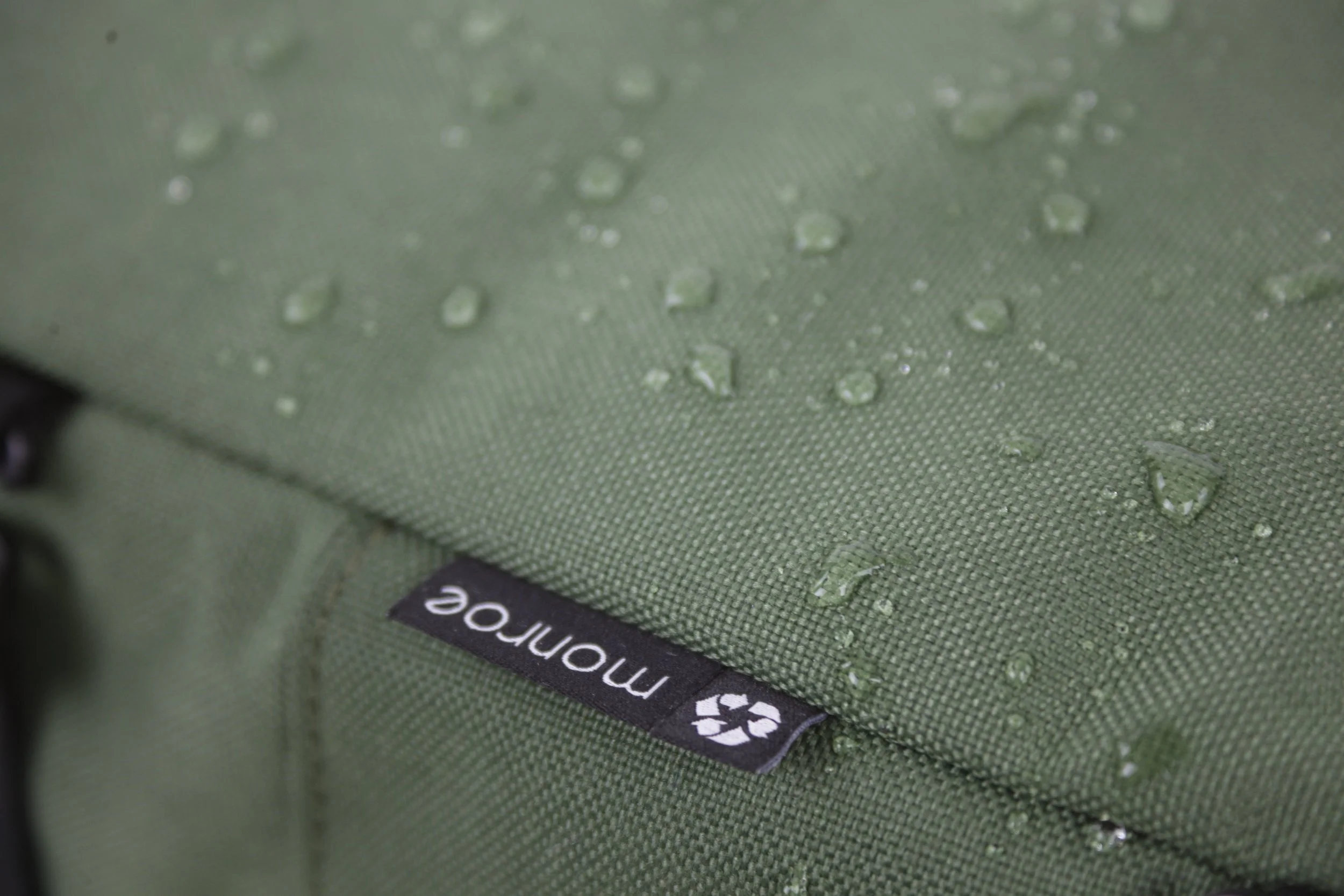 Lotus Green Water Drops.JPG