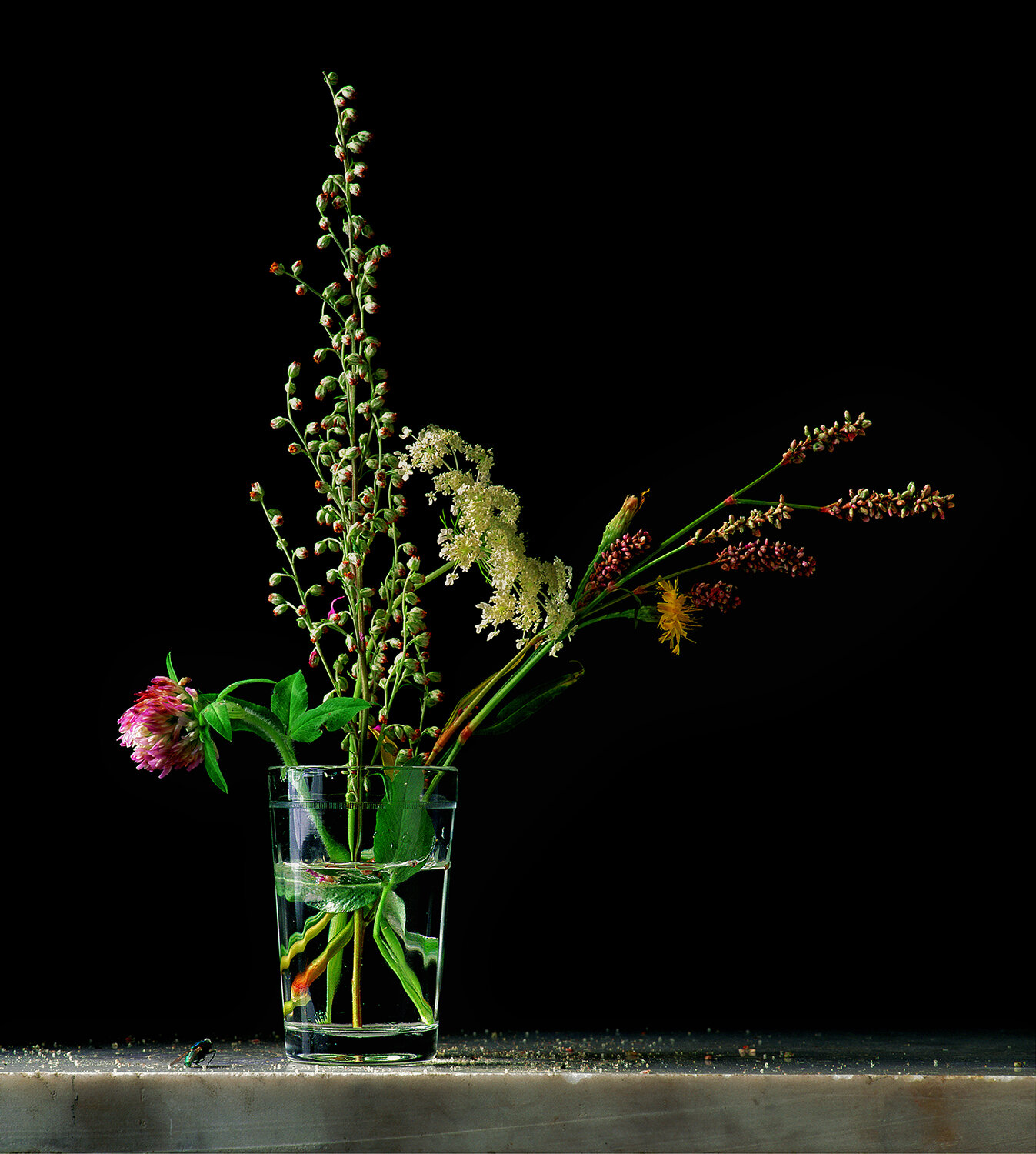 Mixed Bouquet in Glass with Fly.jpg