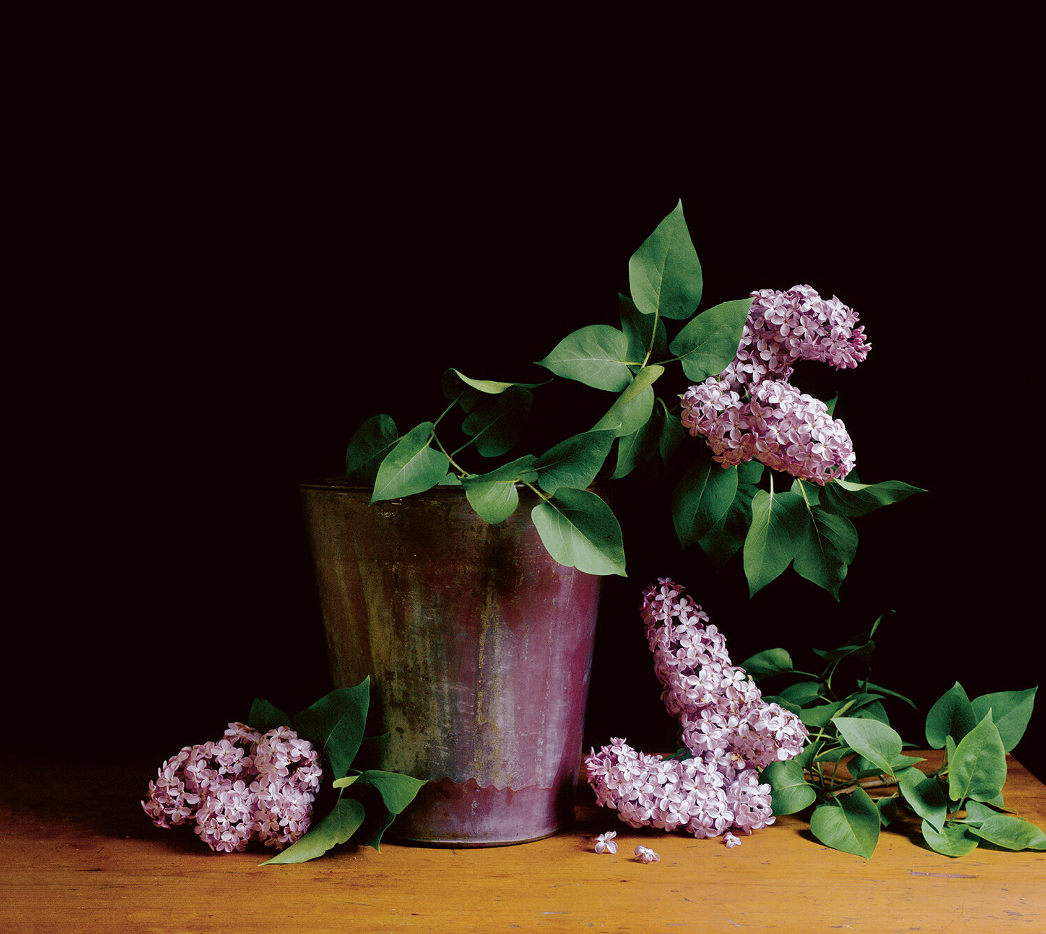 Lilacs 19.5in. x 22in. edition of 30.jpg