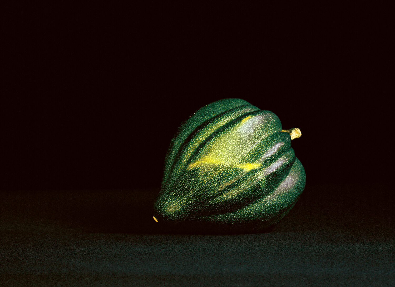 Portrait of the Artist as) Acorn Squash 16in. x 22in. edition of 30.jpg