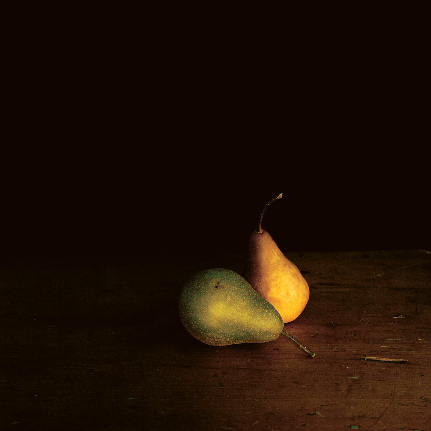 Two Pears 22in. x 22in. edition of 30.jpg