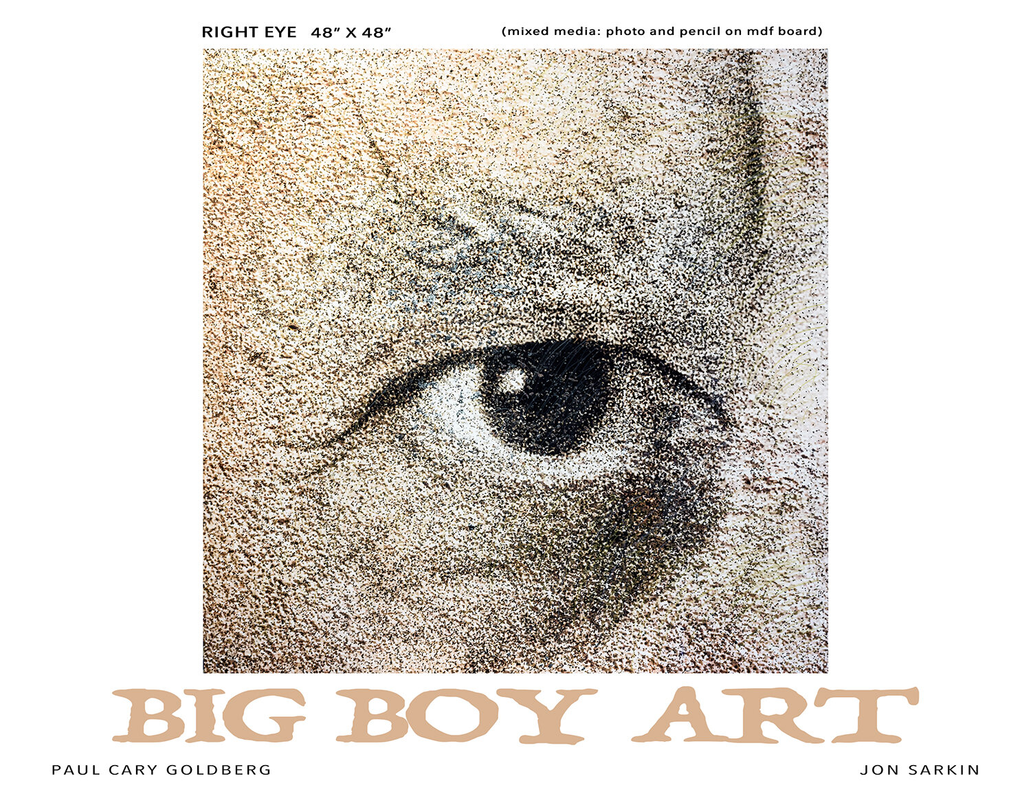 1. BIG BOY Right Eye.jpg