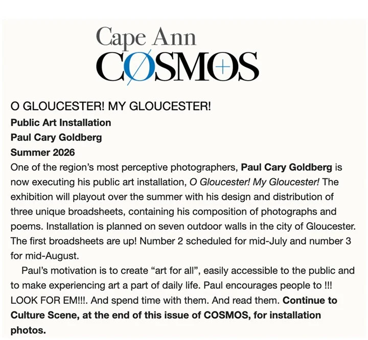 Untitled-1_Cosmos Website.jpg