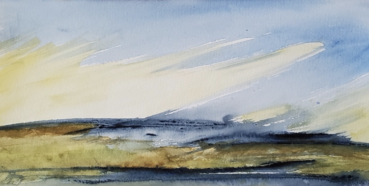 Salt Marsh Daylight.png