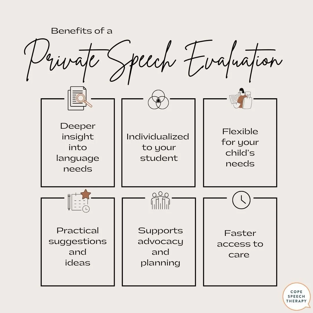 A private speech and language evaluation offers more than a score.

It provides meaningful insight into your child&rsquo;s strengths, areas of need, and how those skills impact learning and communication day to day.

Private evaluations allow for: &b