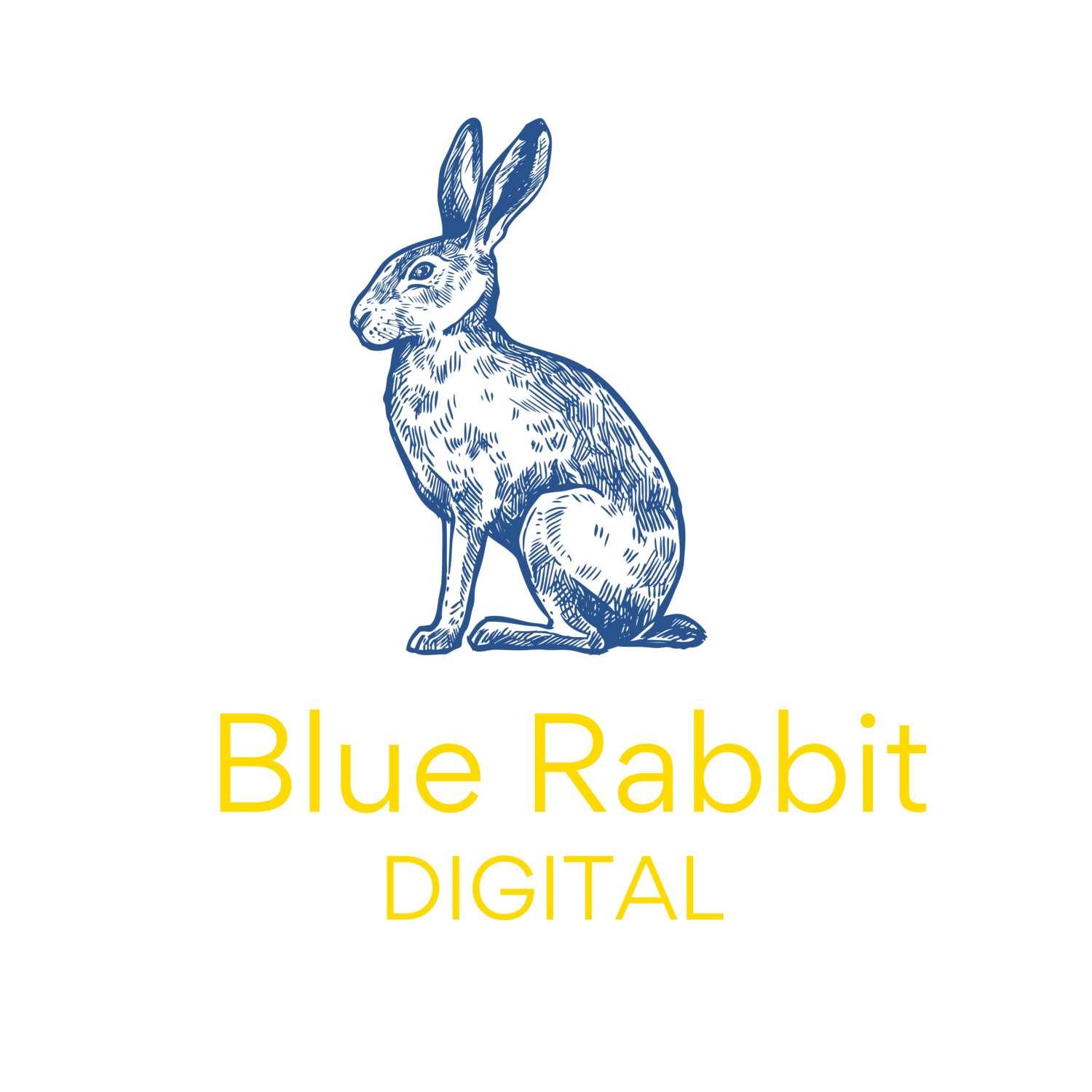 Blue Rabbit Digital