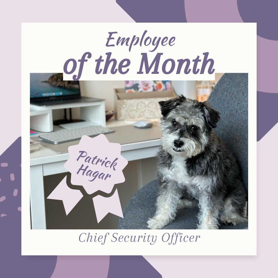 Photo of tuxedo schnoodle in a desk chair with the text Employee of the Month Patrick Hagar Chief Security Officer. Patrick is the chief security officer for online therapy with Mindfully Balanced Therapy throughout NC, IL, and SC.