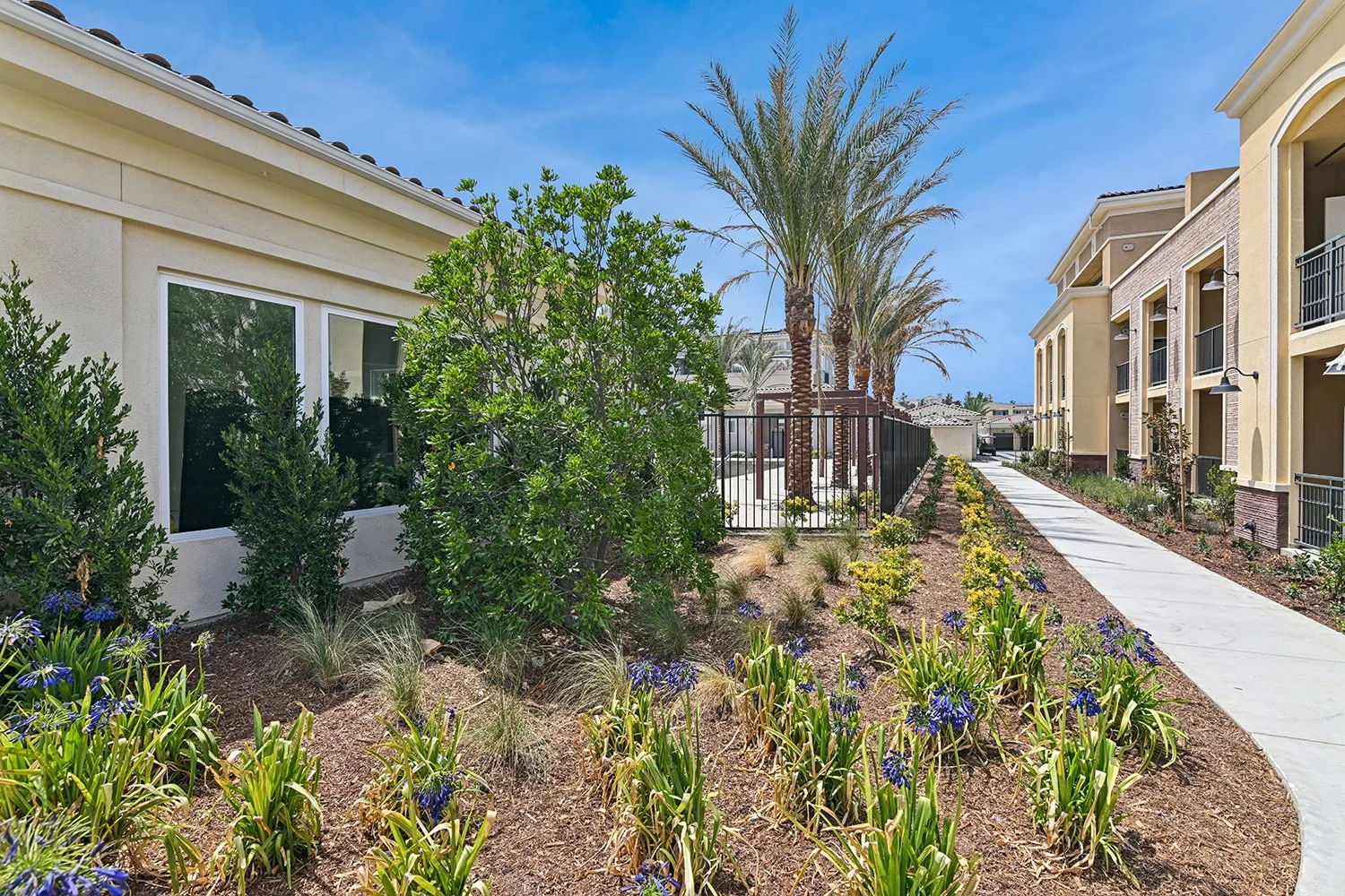 Planter area lining walkways at Rendezvous Phase II leading to pool area and fitness center. 