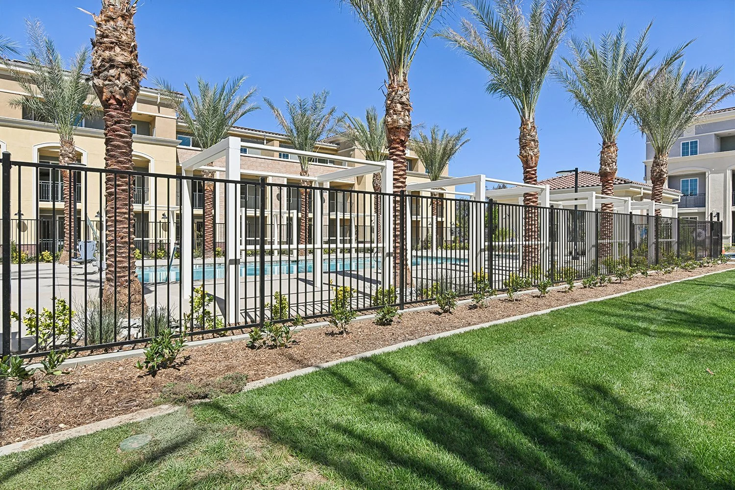 View of the Rendezvous Phase II pool area lined with regal palm trees and cabanas for a resort style feel. 