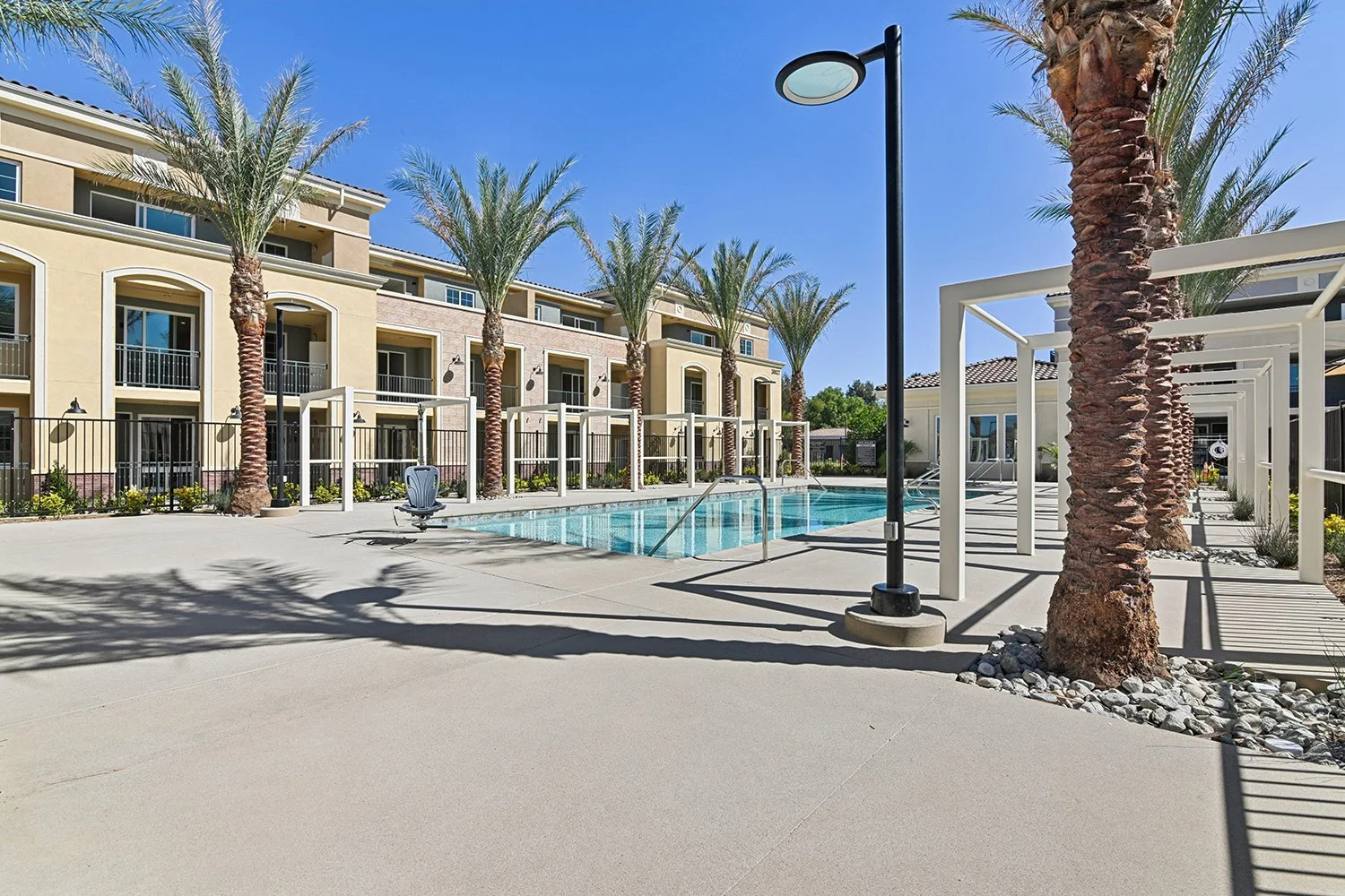 Rendezvous Phase II pool area lined with regal palm trees and cabanas, and with a relaxing spa. 