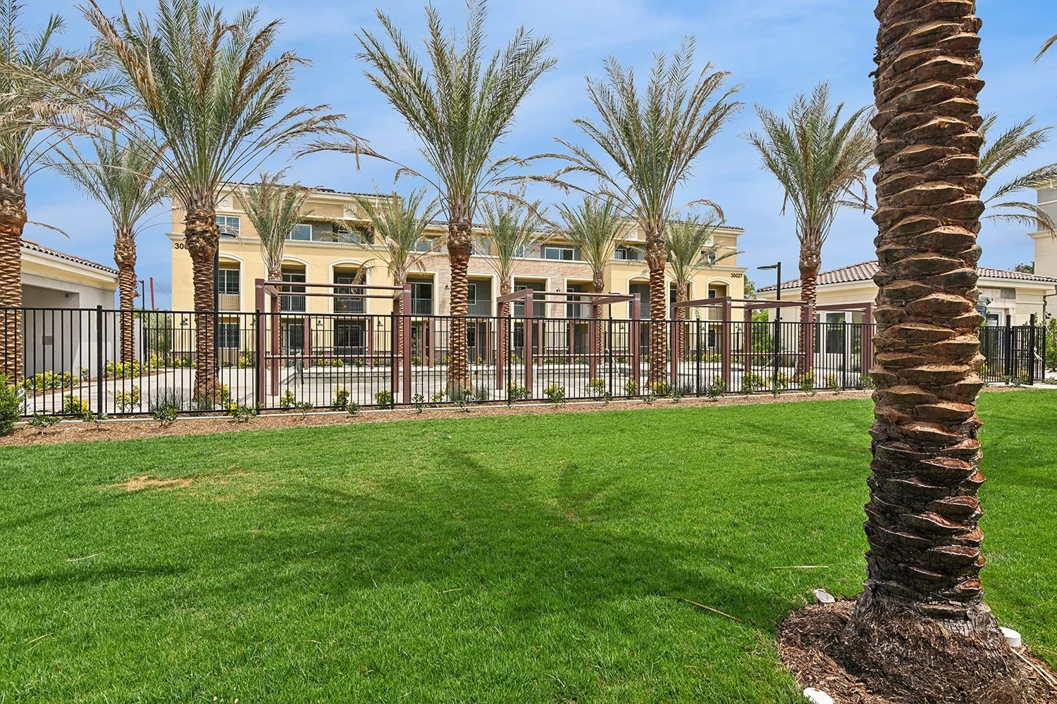 Large grass area outside of Rendezvous Phase II pool area for a serene park-like feel. Large palms area placed throughout the property and line the pool area fence. 
