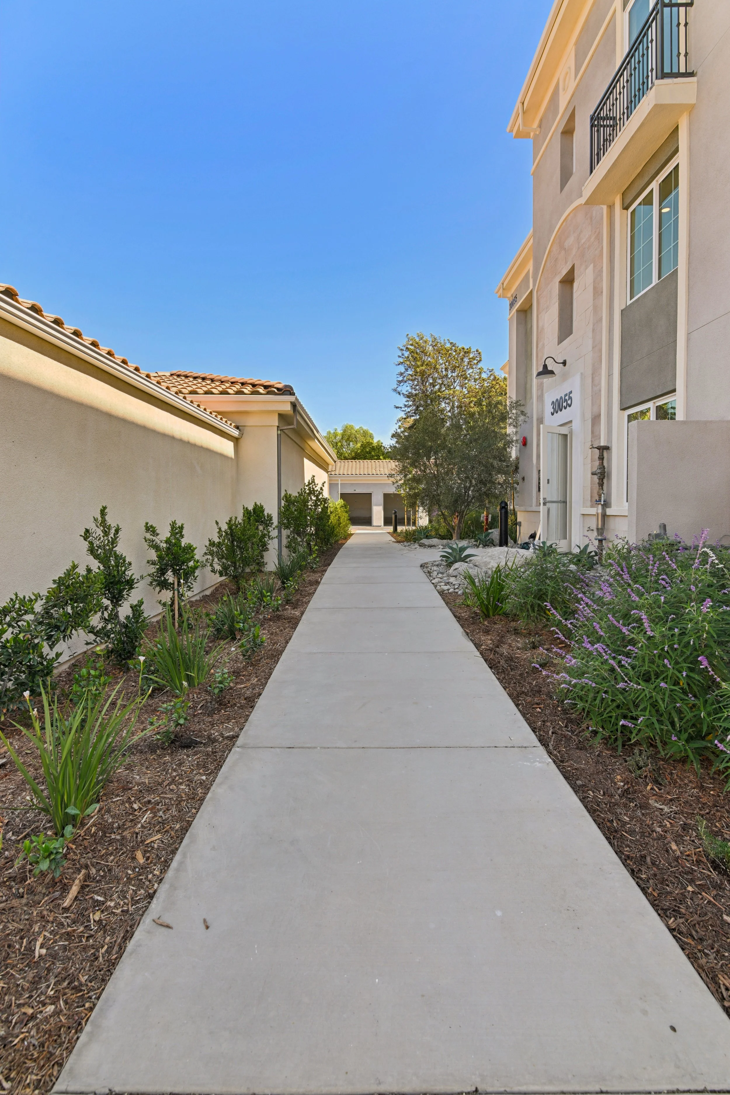 Walkway at Rendezvous Phase II lined with lush landscaping.