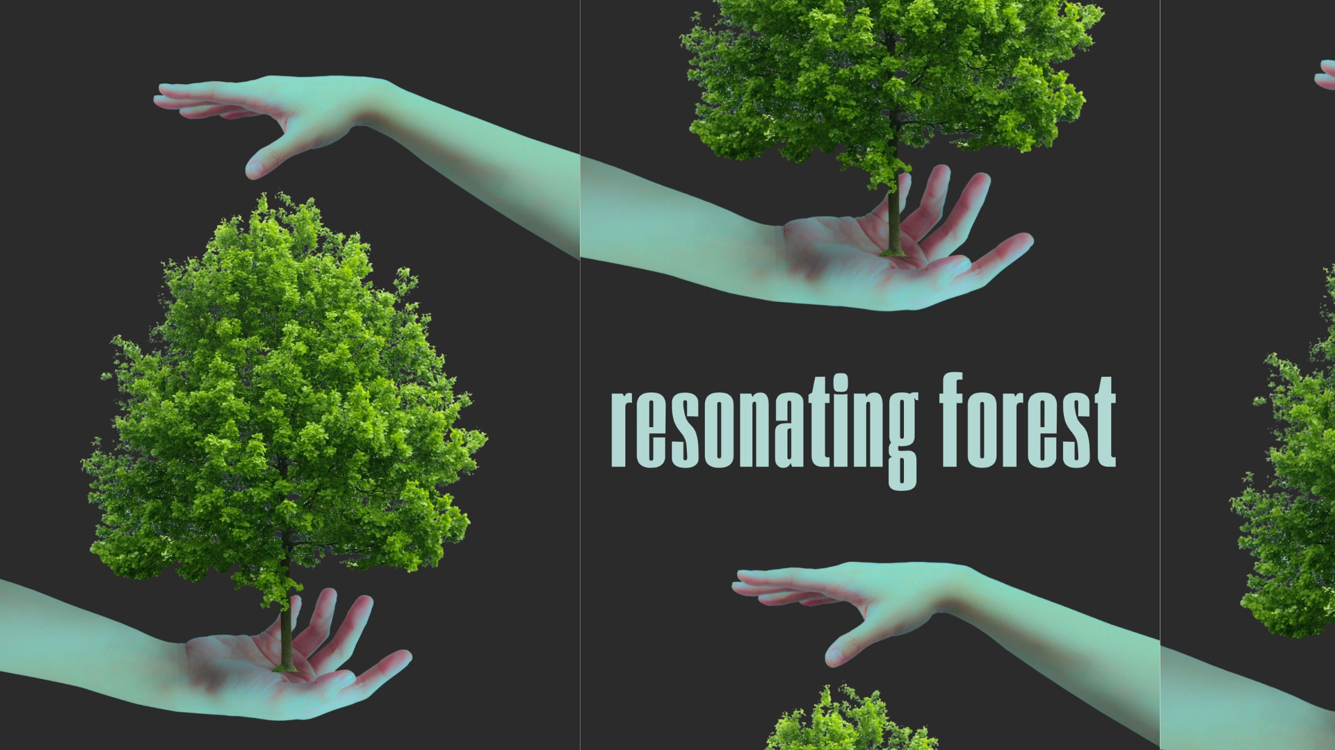 resonating forest.png