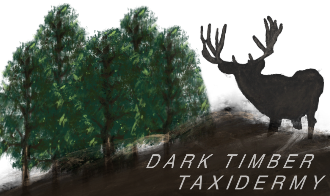 Dark Timber Taxidermy