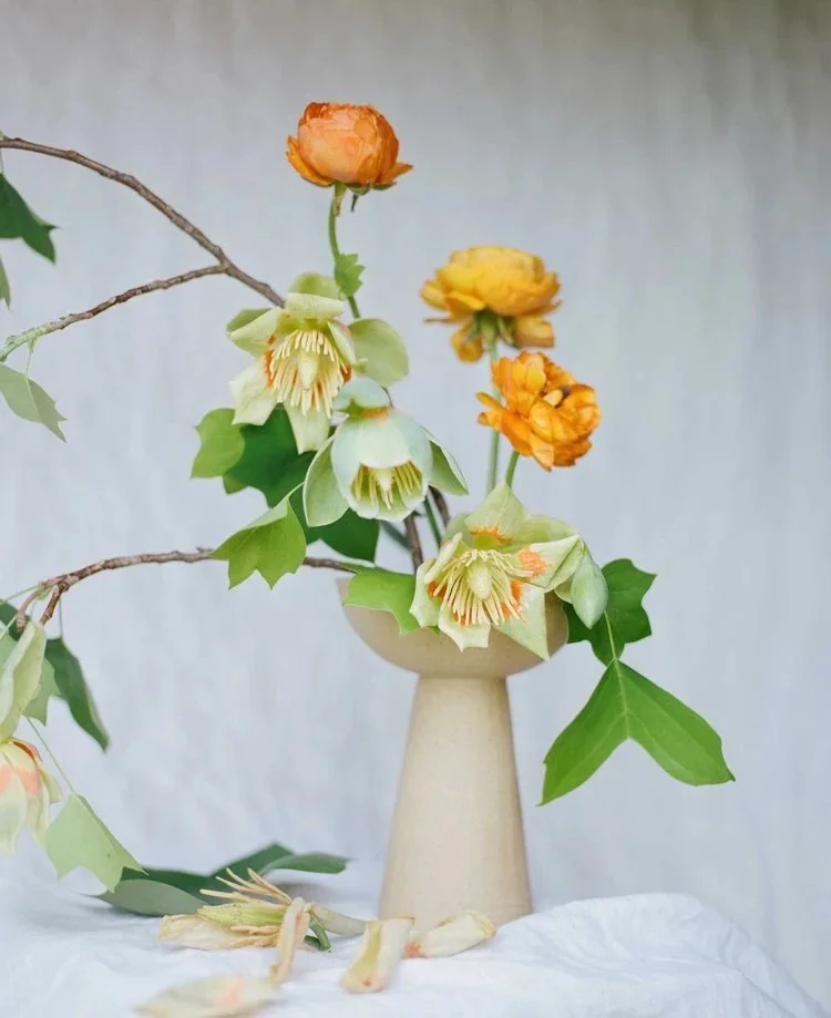 Modern Ikebana: Spring