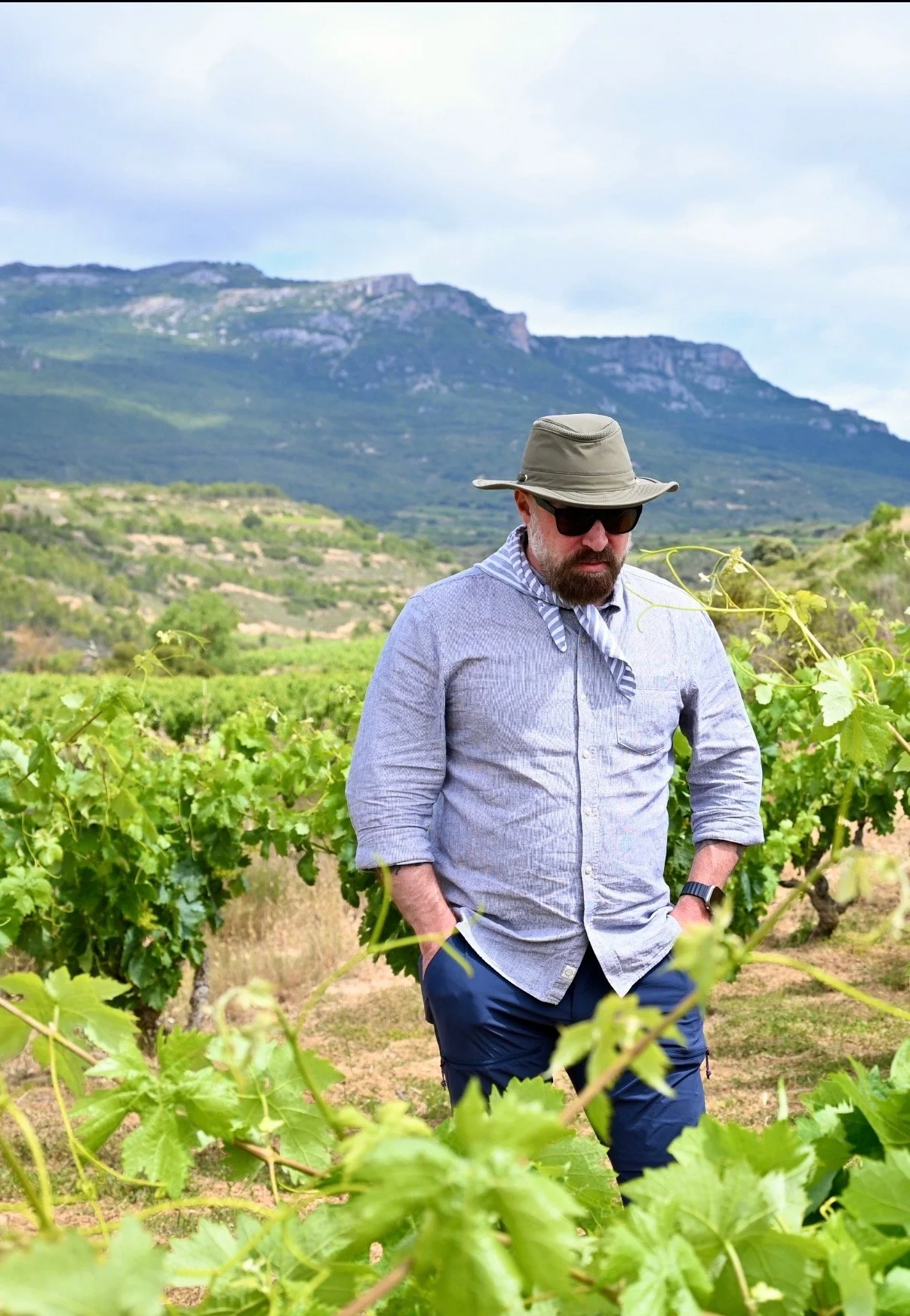 Spanish Wine Tasting w/Steven Alexander of the Pyrenees Wine Merchants & Beivuma Wines!