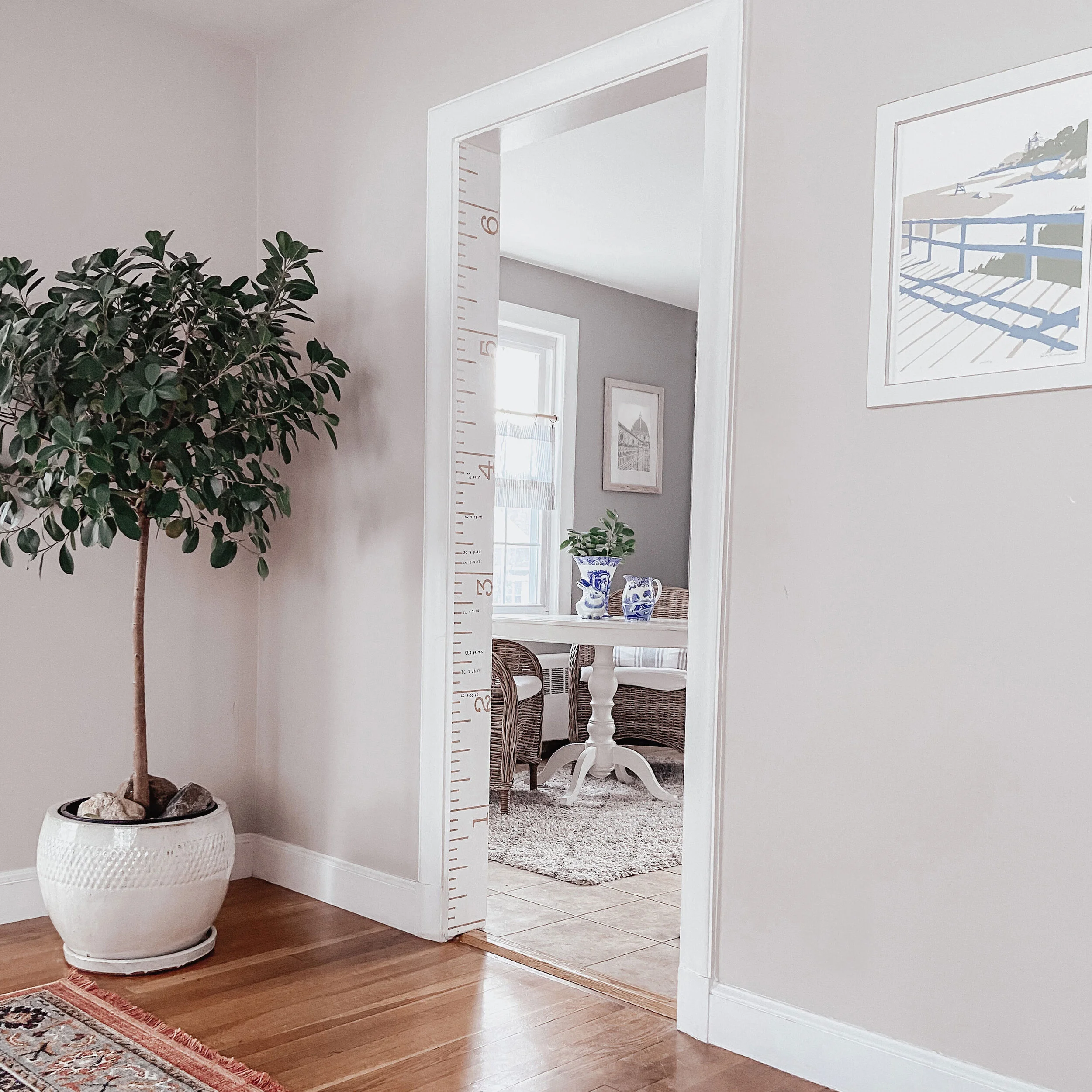 Indoor scene with a large potted plant on a wooden floor, a white wall with a measurement ruler, and a doorway leading to a room with a white table, blue and white vases, and wicker chairs.