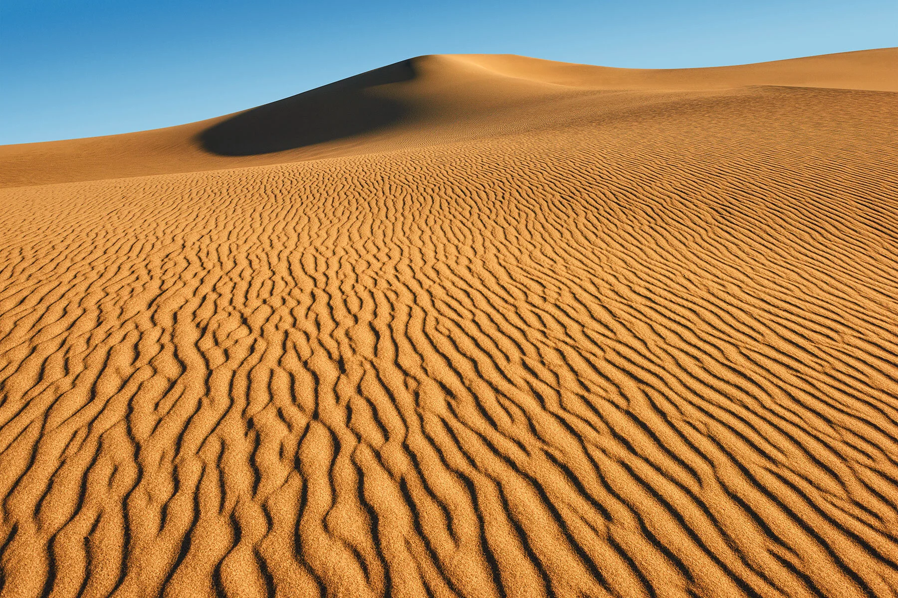 DUNES-III.jpg