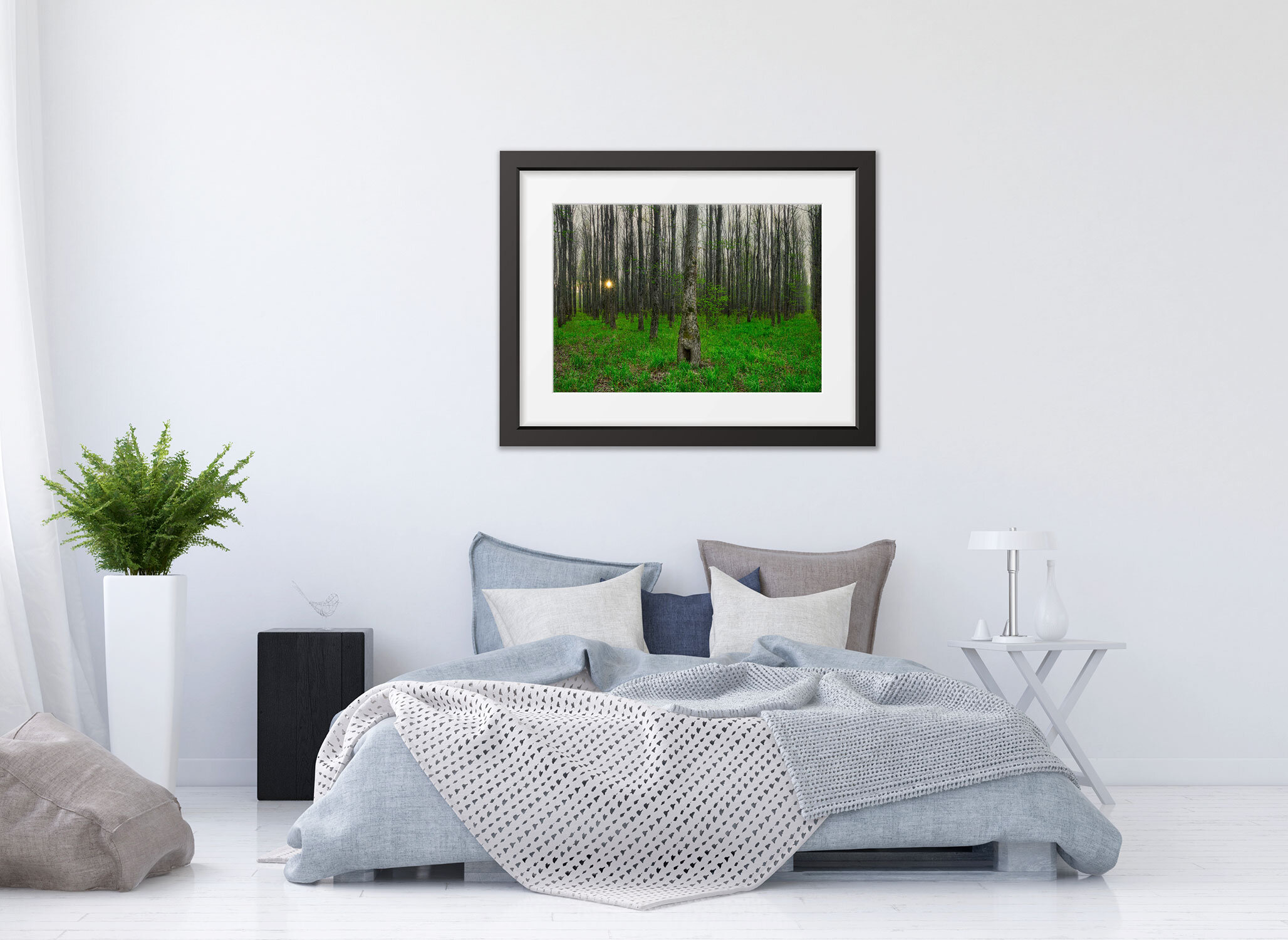 STILL-FOREST-BLACK-FRAME.jpg