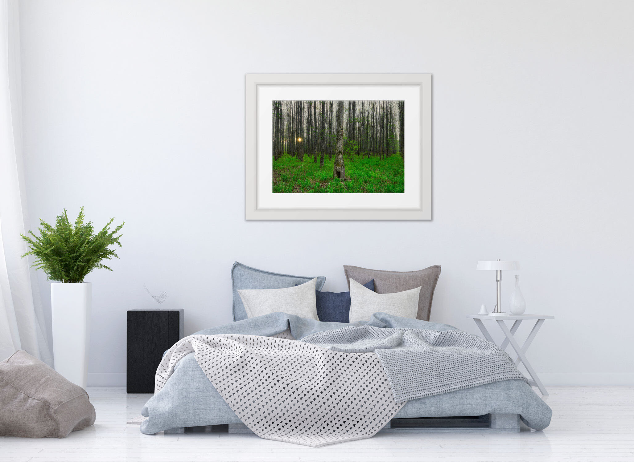STILL-FOREST-WHITE-FRAME.jpg