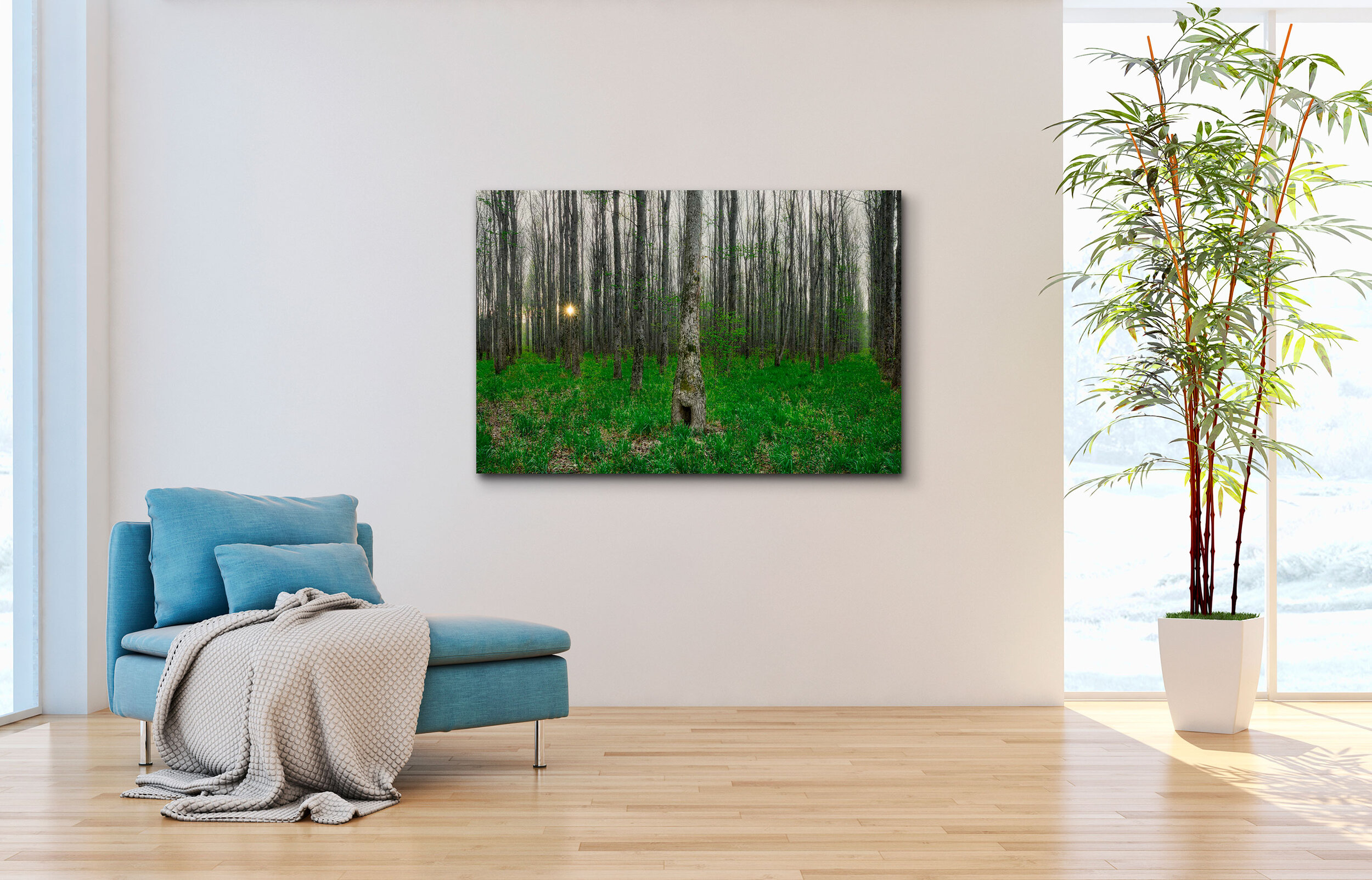 STILL-FOREST-ADDITIONAL-PRINTING.jpg