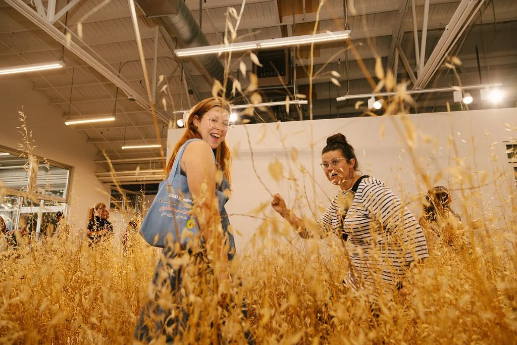 Art Activation: Meadow Harvest Party | Helena Westra: Lying Fallow