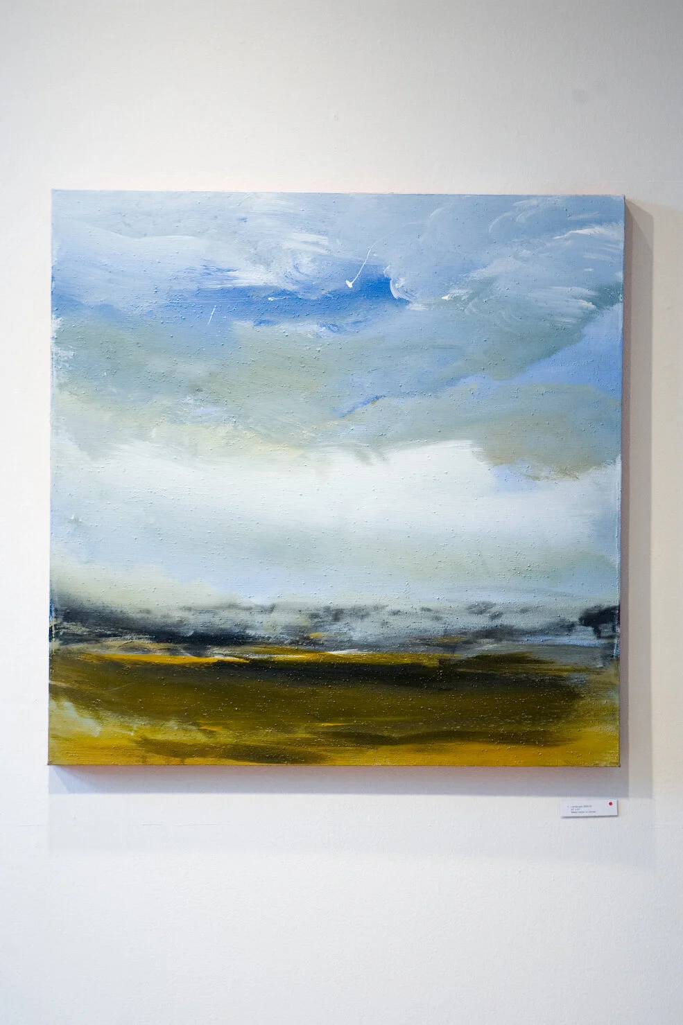 LUC LEESTEMAKER: Recent Landscapes