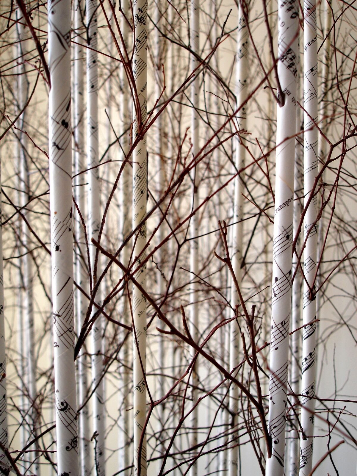 birch twigs 24 Archives 