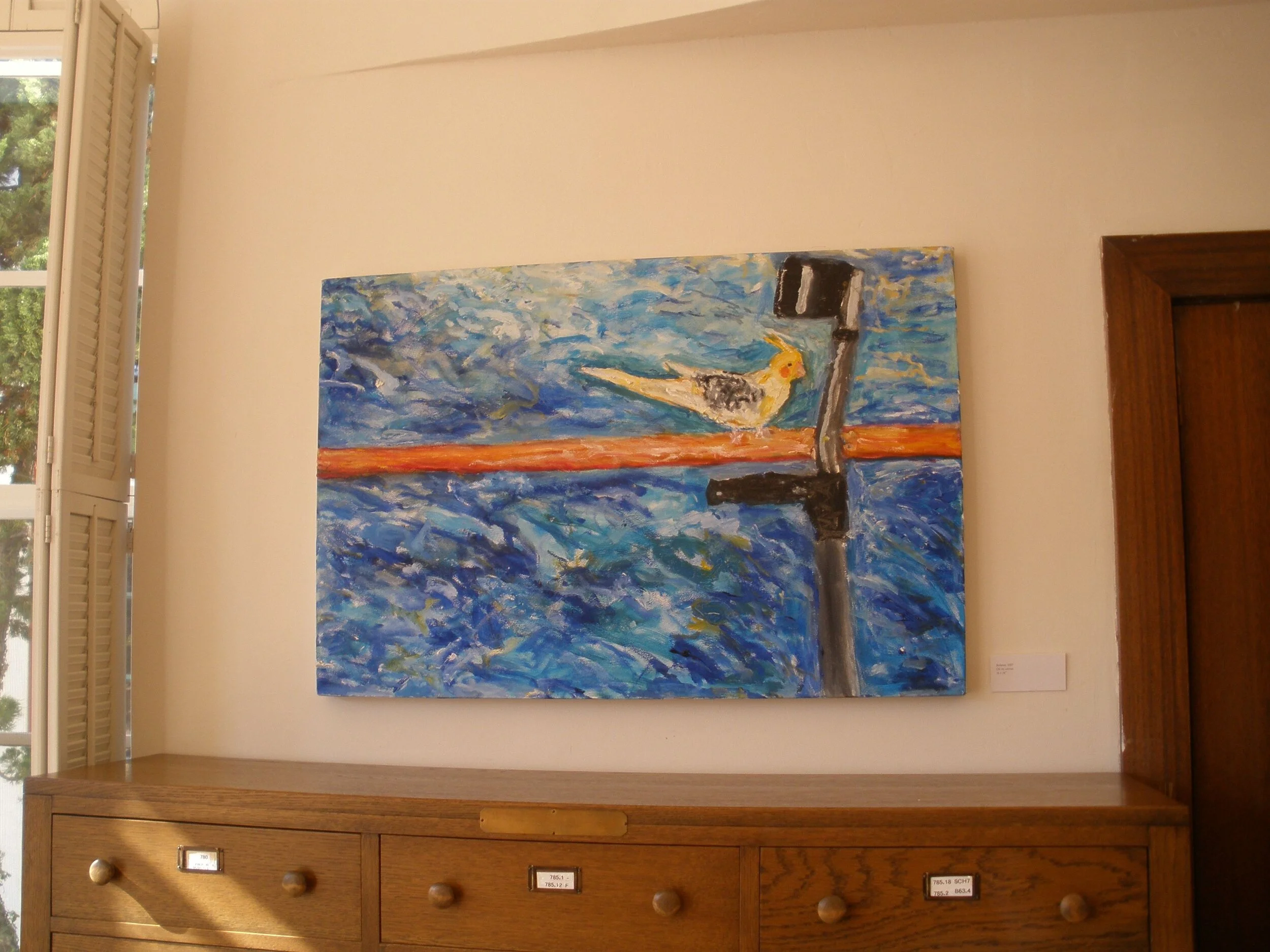 IRIS GILL: Reflected Self