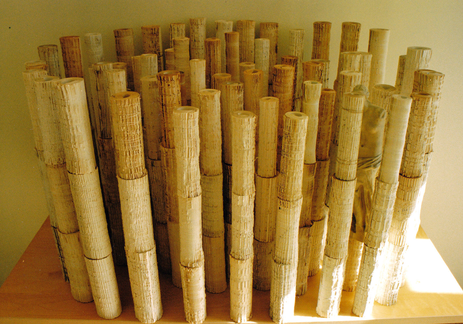 3b. Homage to Rome, 29''H x 36''W x 30''D, books, thread, st.jpg