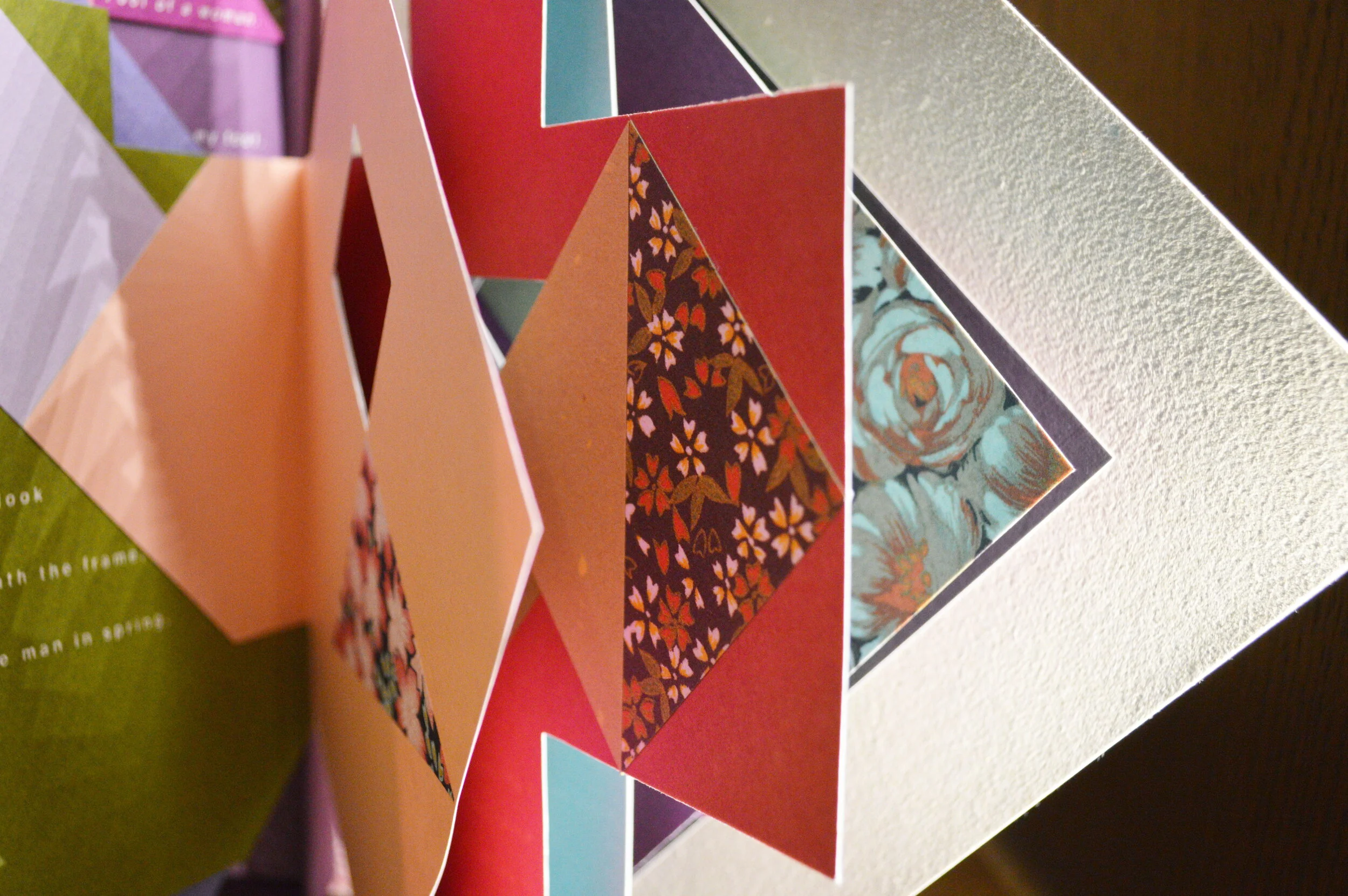 SELECTIONS FROM THE ATHENAEUM’S FRED &amp; ERIKA TORRI ARTISTS’ BOOKS COLLECTION: Claire Van Vliet and The Janus Press