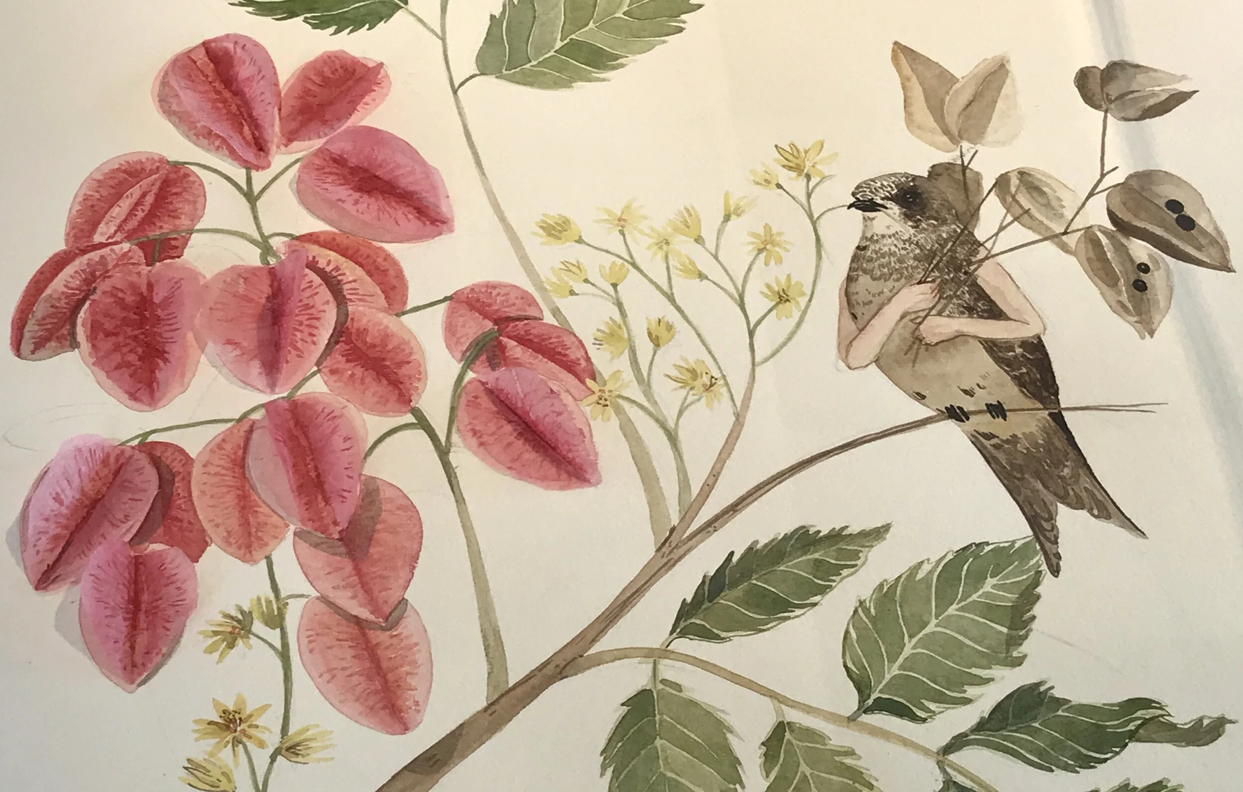 MARIANA MAGDALENO: Respira (Breathe): Botanical Atlas