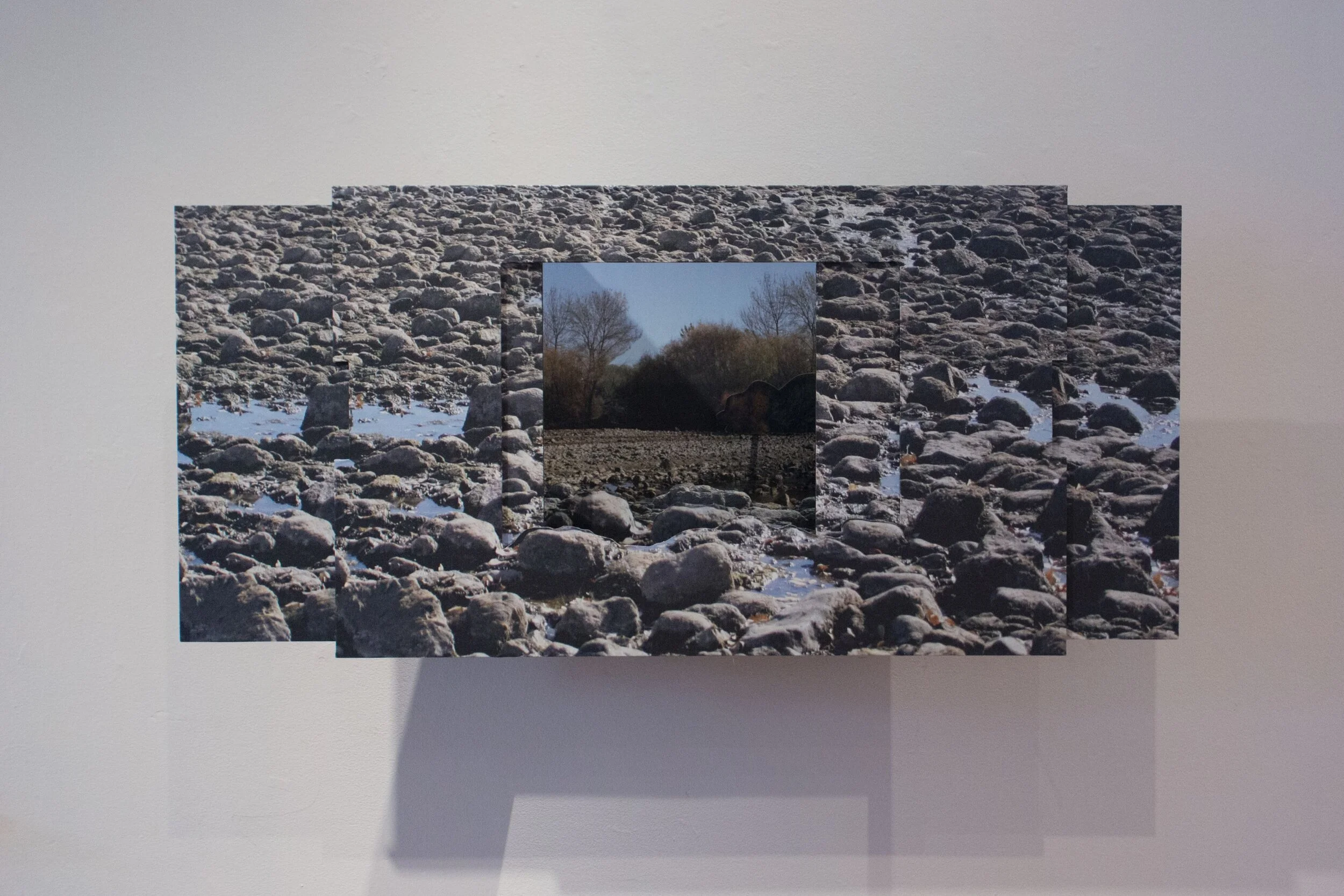 JOYCE CUTLER-SHAW: What Comes to Mind/Human Nature &amp; Visual Translation