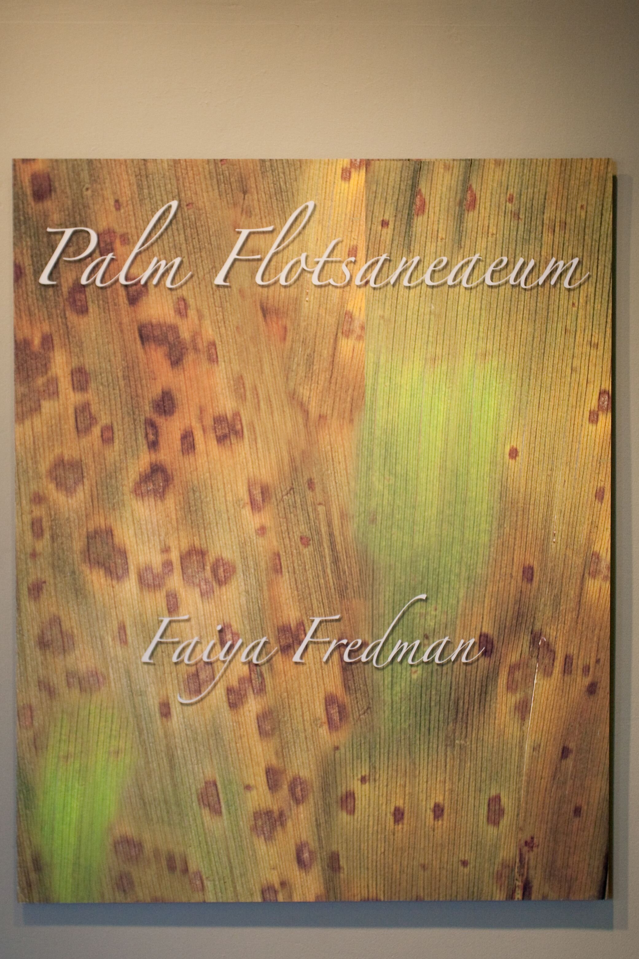 FAIYA FREDMAN: Palm Flotsaneaeum