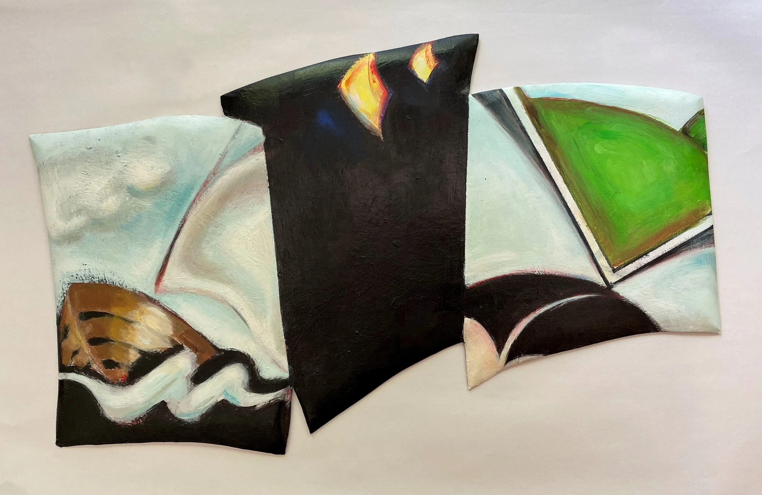 AMANDA FARBER: True Stories From Nature