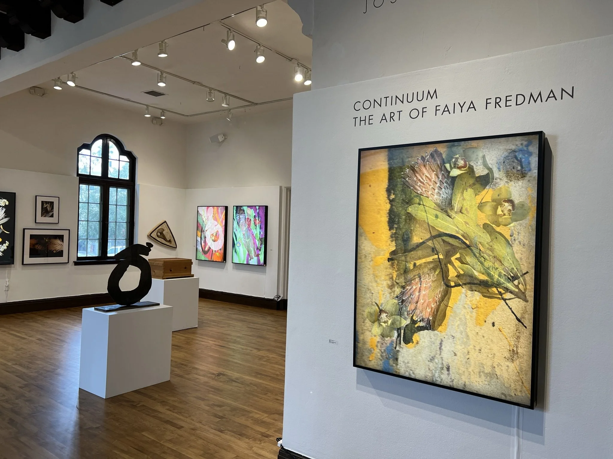 FAIYA FREDMAN: Continuum: The Art of Faiya Fredman