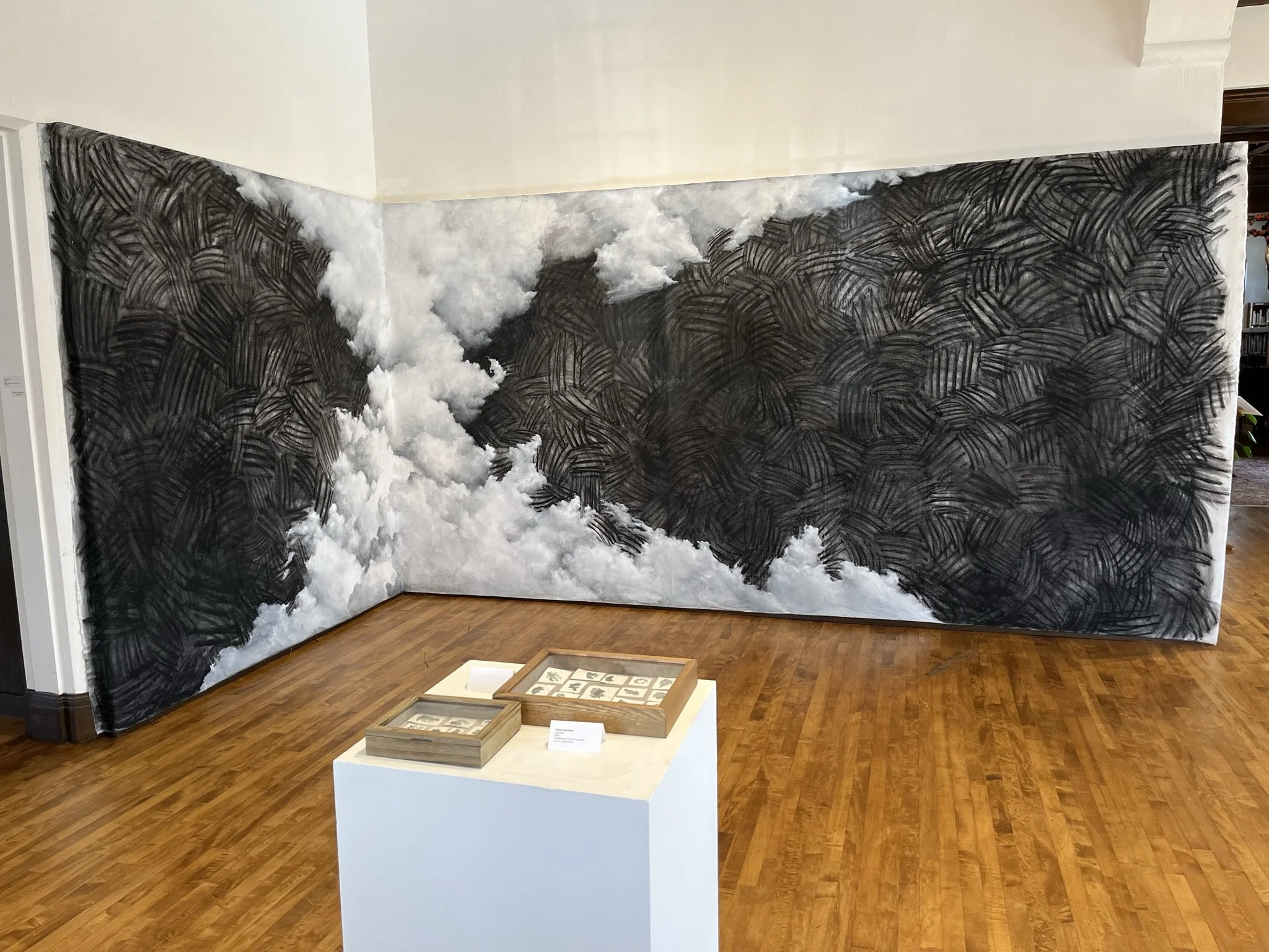 TATIANA ORTIZ-RUBIO: Light Cones