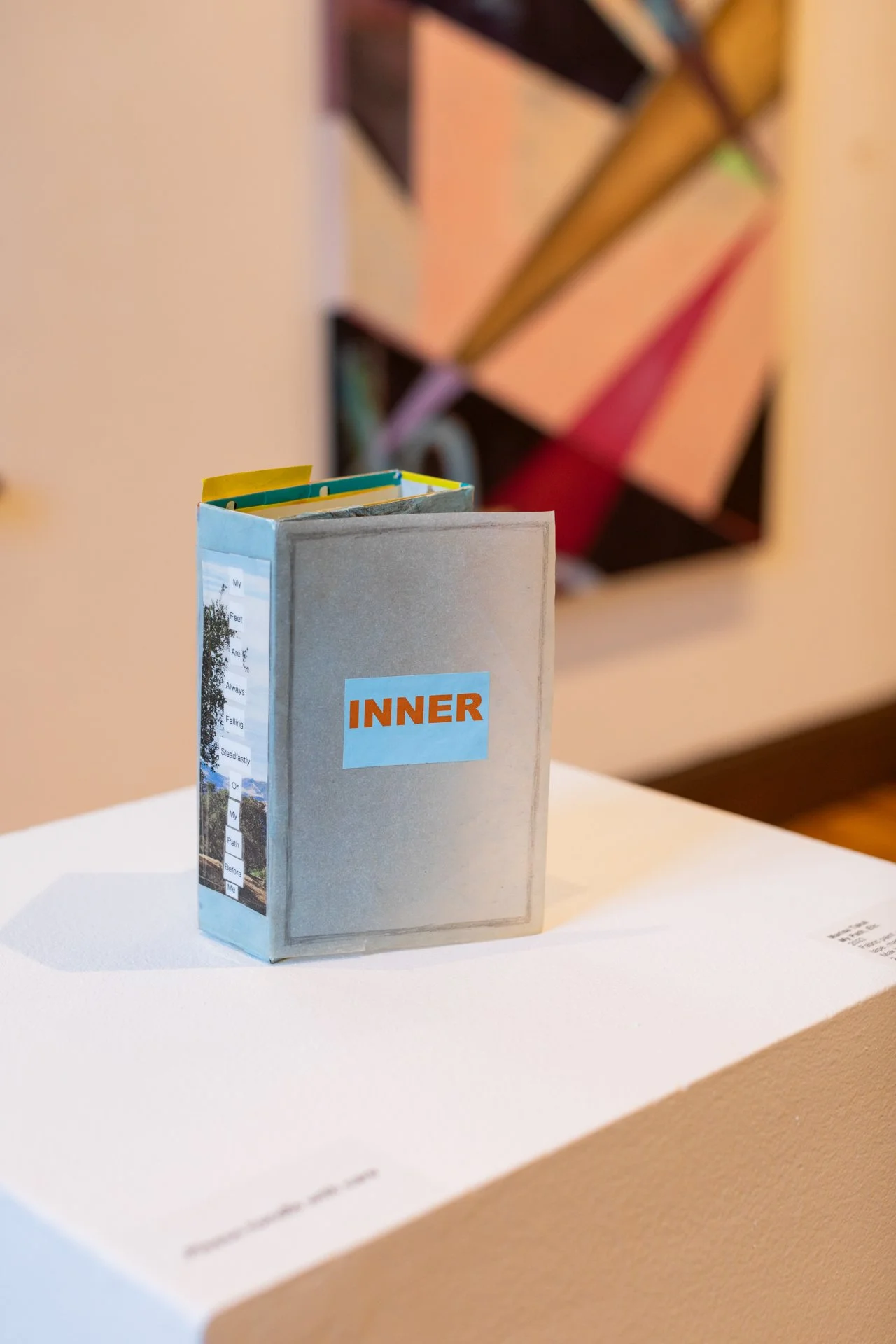 MARISA TAKAL: Unconscious Research