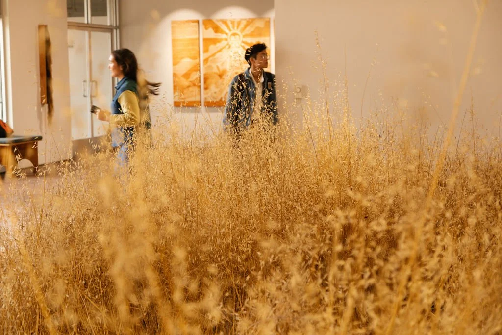 HELENA WESTRA: Lying Fallow