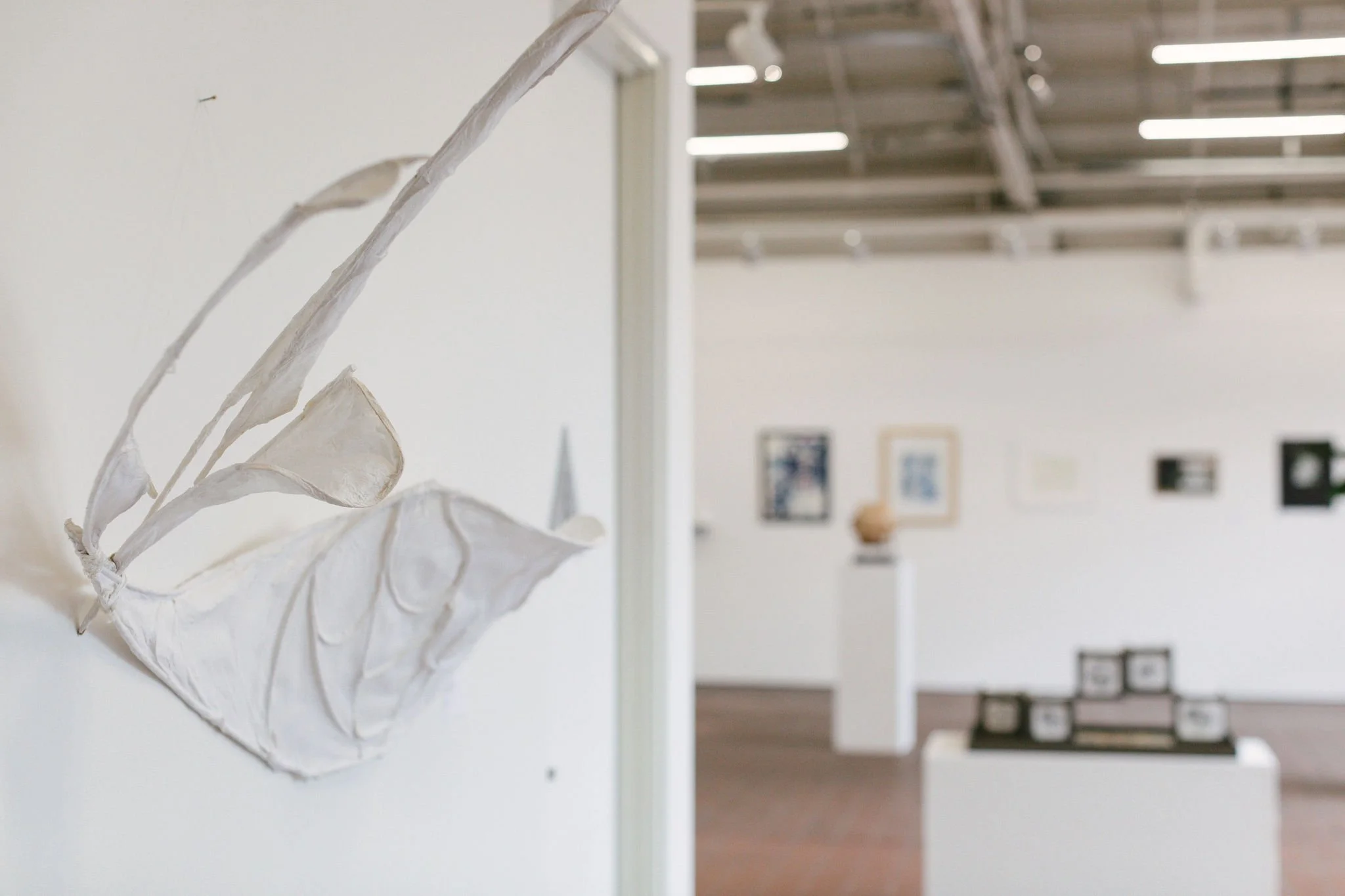 AACStaffShow_105.jpg