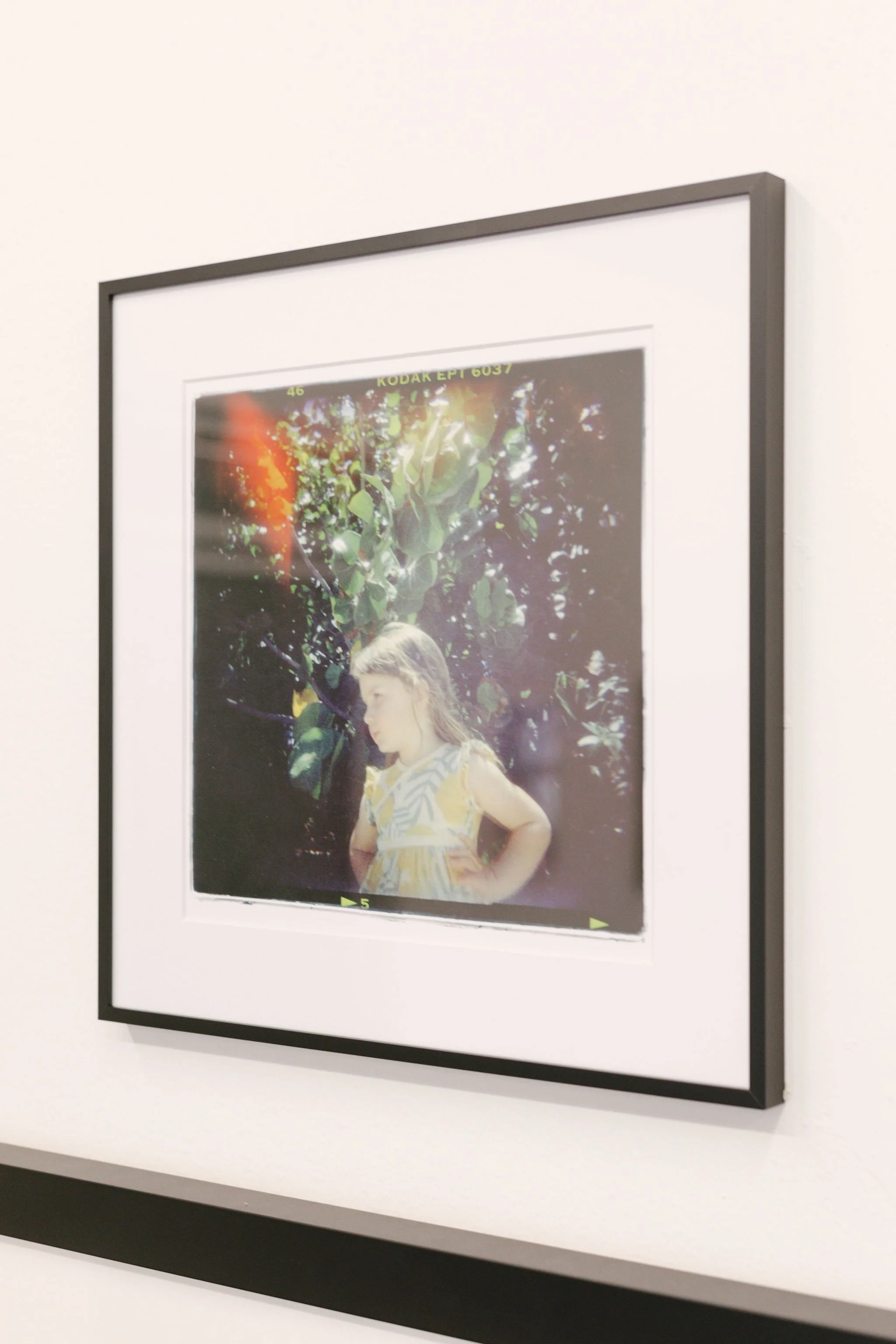 AACStaffShow_9.jpg