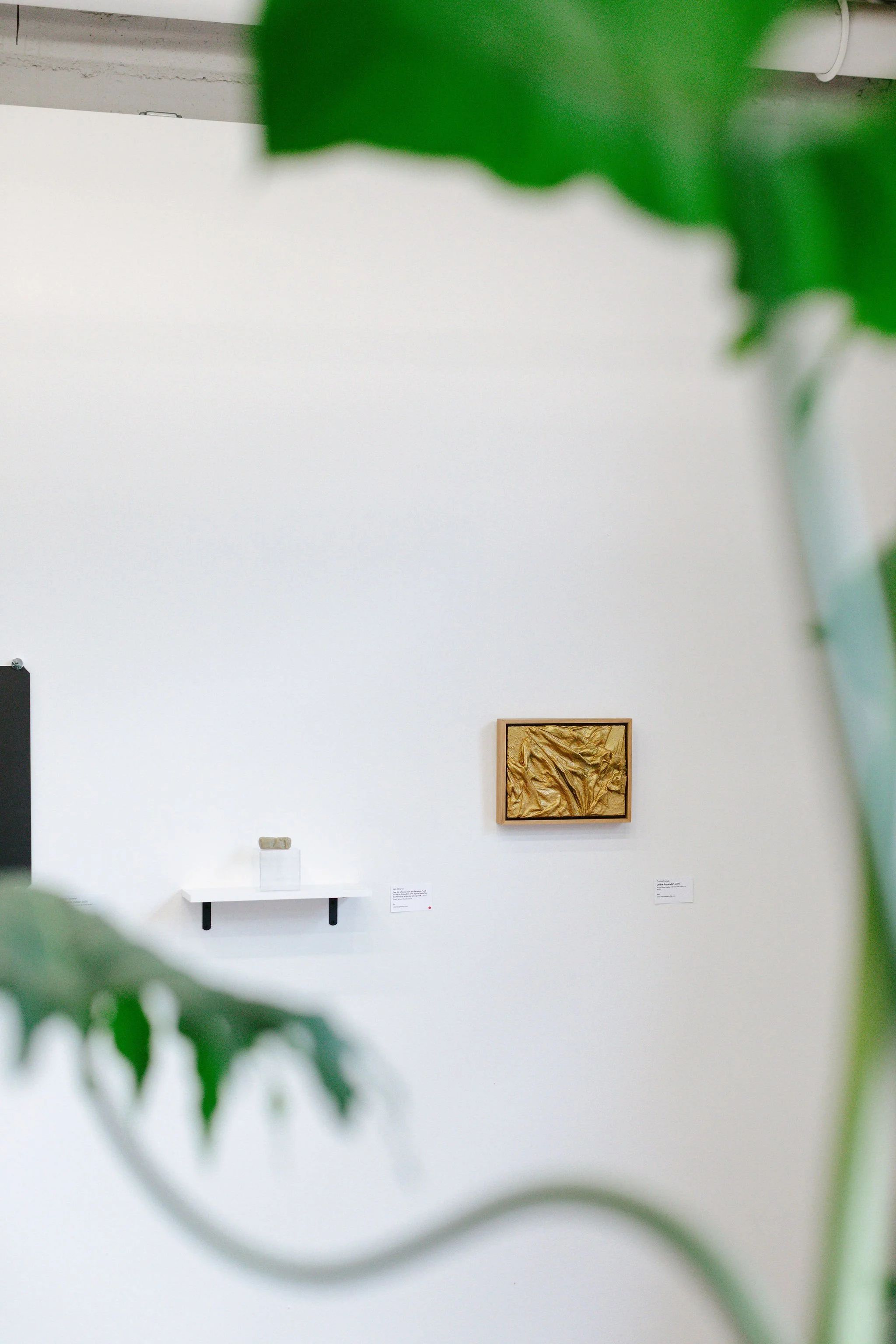 AACStaffShow_63.jpg